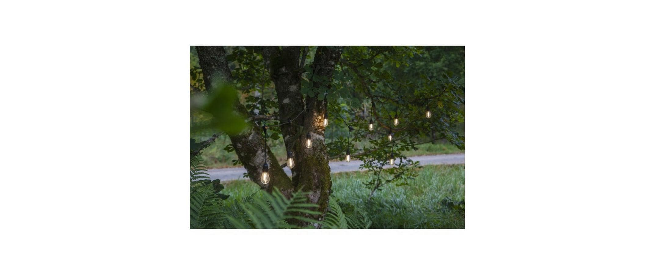 Star Trading Lichterkette String Light, 10 LEDs, 3.6 m, Schwarz