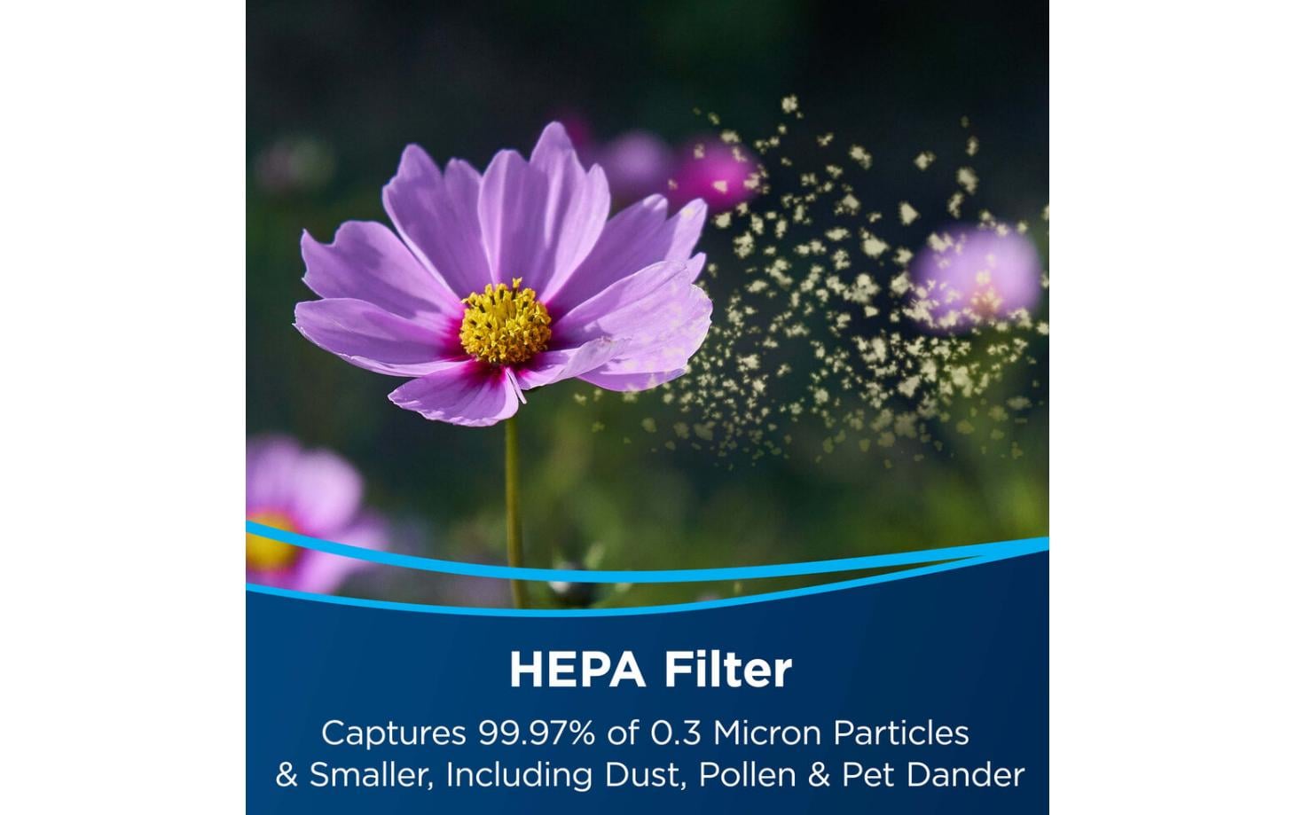 BISSELL HEPA-Filter + Vorfilter 1 Stück