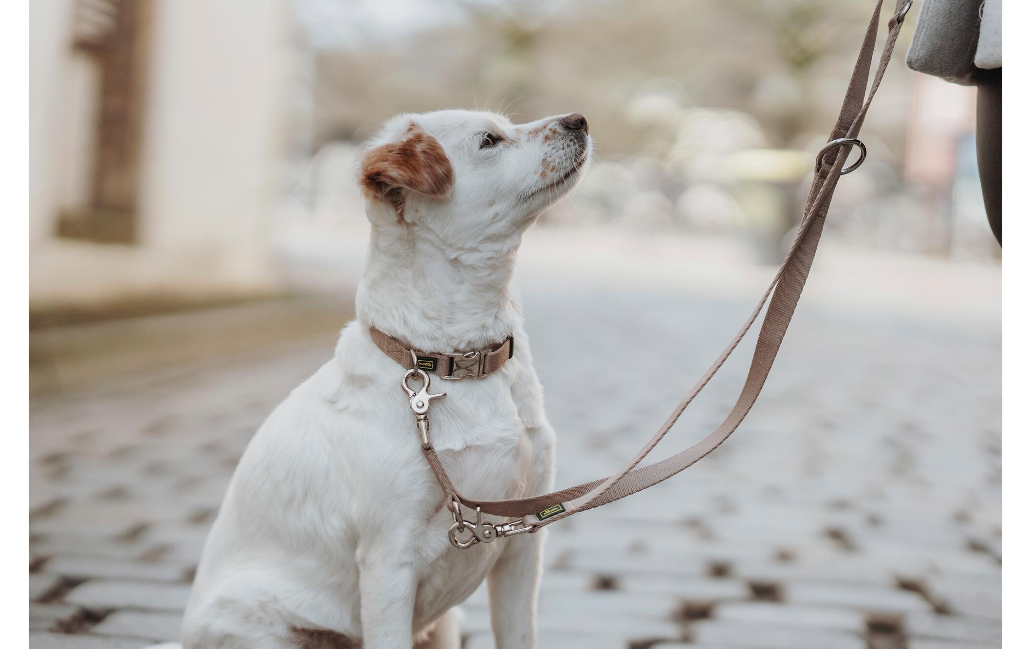 Hunter Verstellbare Führleine Inari, 25/200, Beige