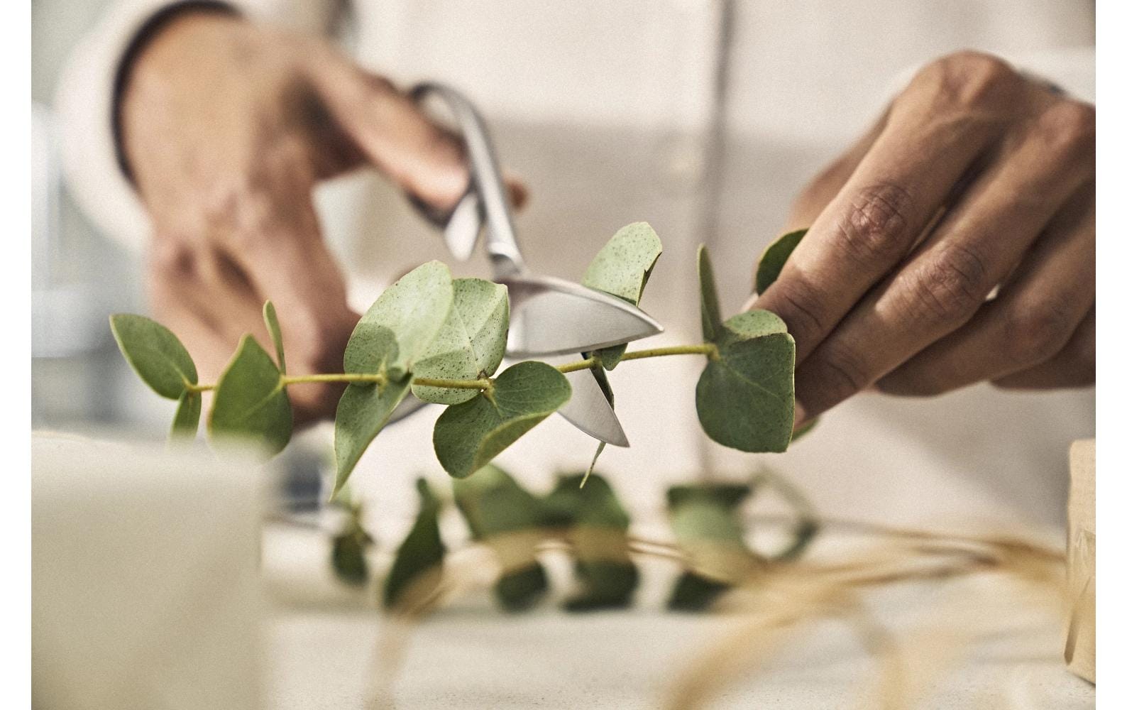 Zwilling Haushaltsschere Twin Select 20 cm