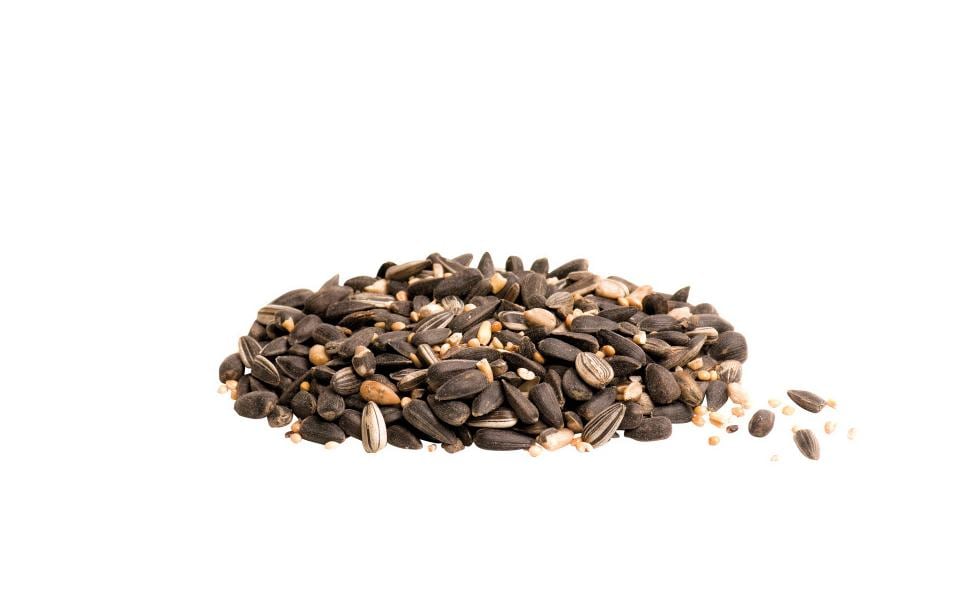 CJ Wildlife Wintervogelfutter für Futtersäule 1.75 kg