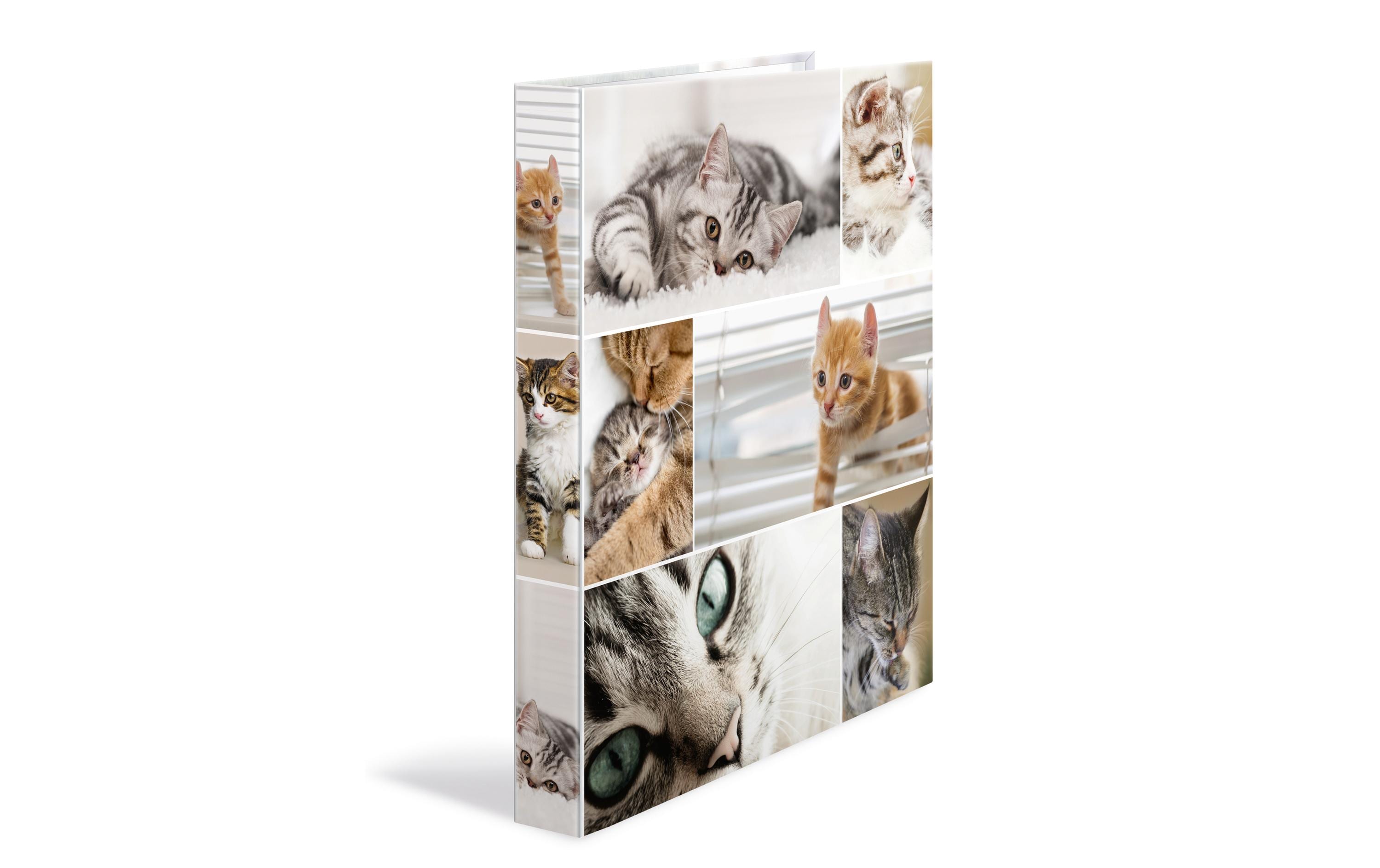 HERMA Ringbuch Katzen 2-Ring 3.5 cm, Mehrfarbig