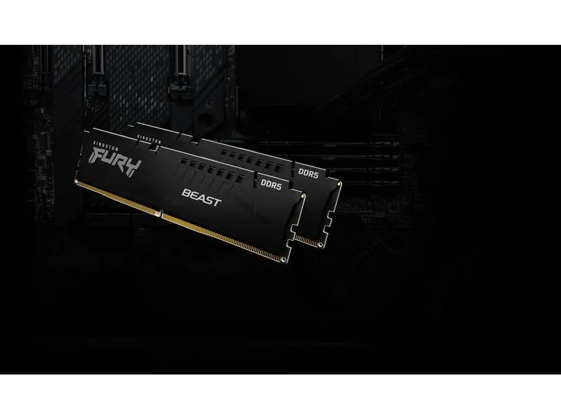 Kingston DDR5-RAM FURY Beast EXPO 6000 MHz 2x 16 GB Kingston DDR5-RAM FURY Beast EXPO 6000 MHz 2x 16 GB