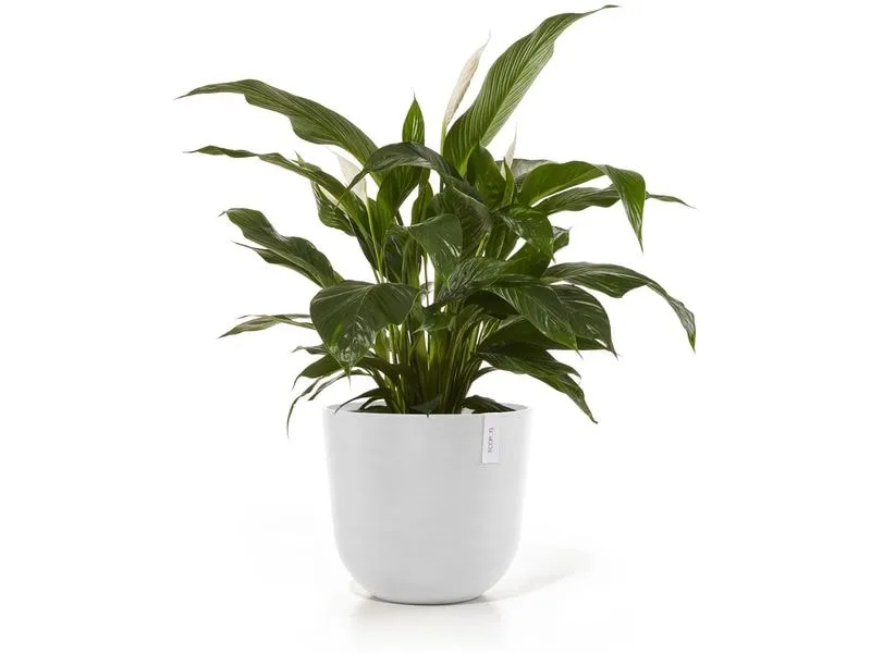 Ecopots Blumentopf Oslo Ø 45 cm Weiss Ecopots Blumentopf Oslo Ø 45 cm Weiss