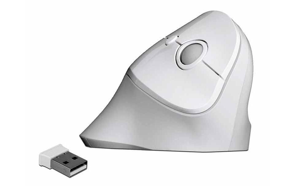 Delock Ergonomische Maus 12596 USB kabellos