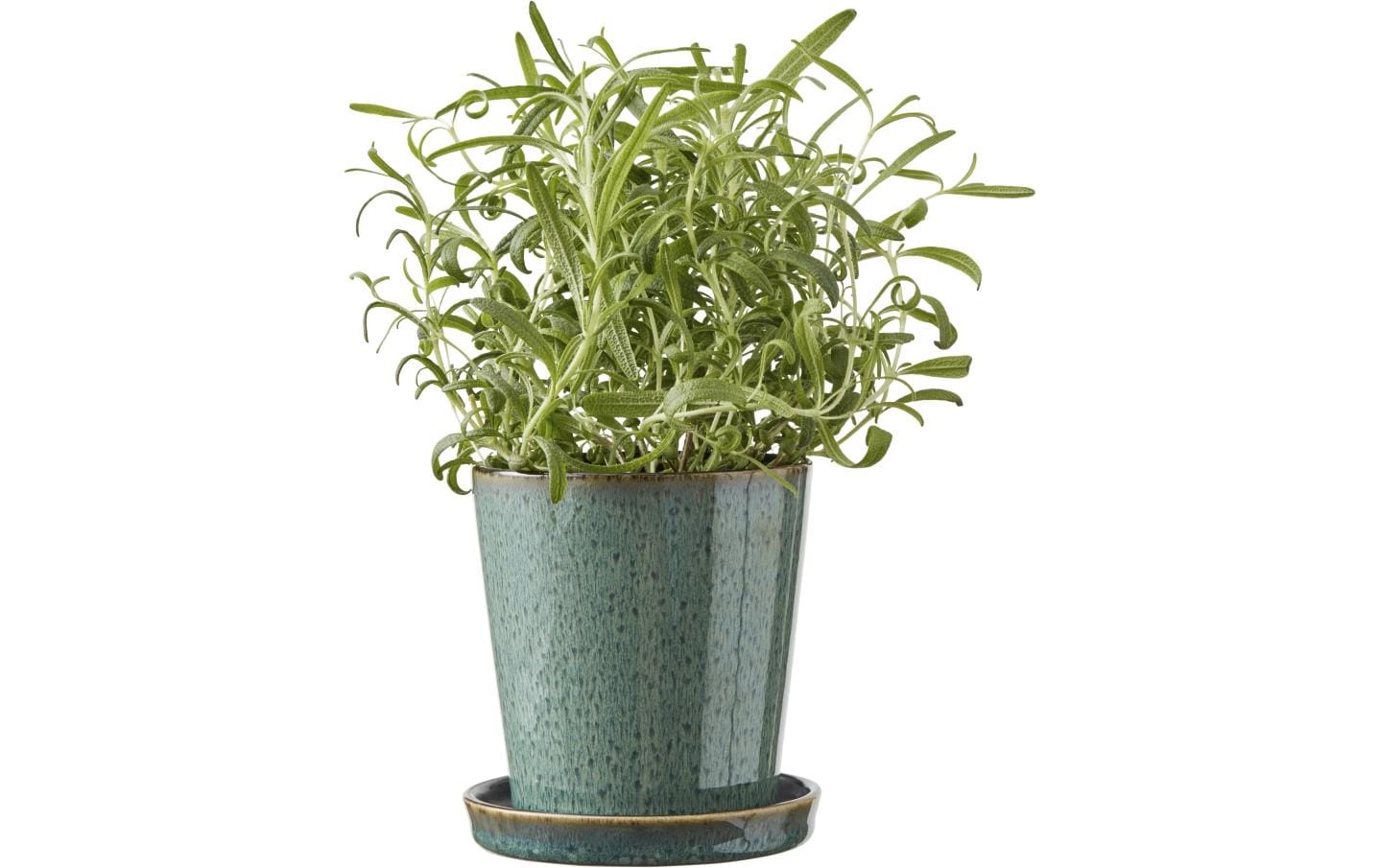 Bitz Pflanzengefäss Grün