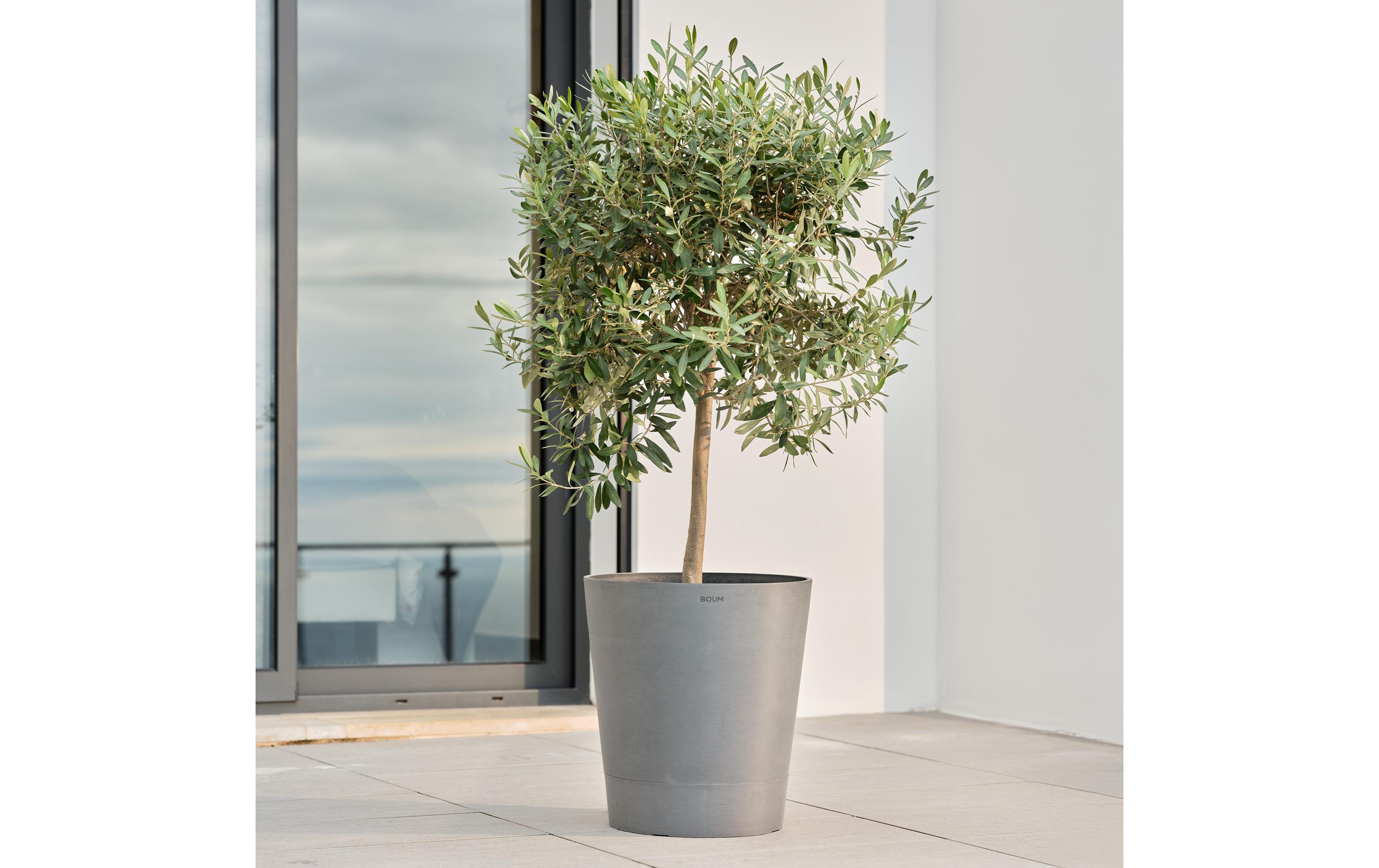 Boum Pflanzentopf 30 L Pro Grau