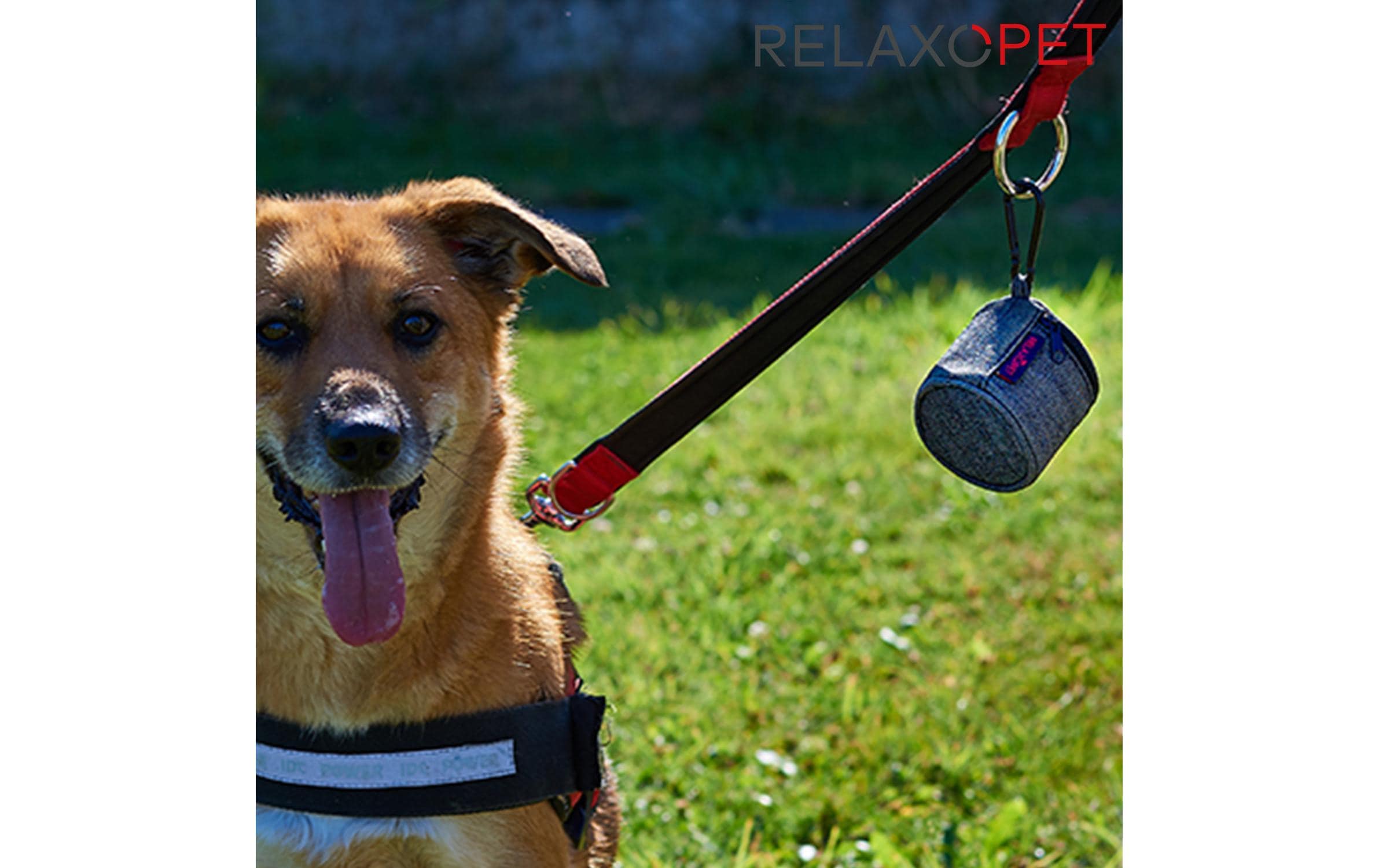 Relaxopet Transporttasche Bag