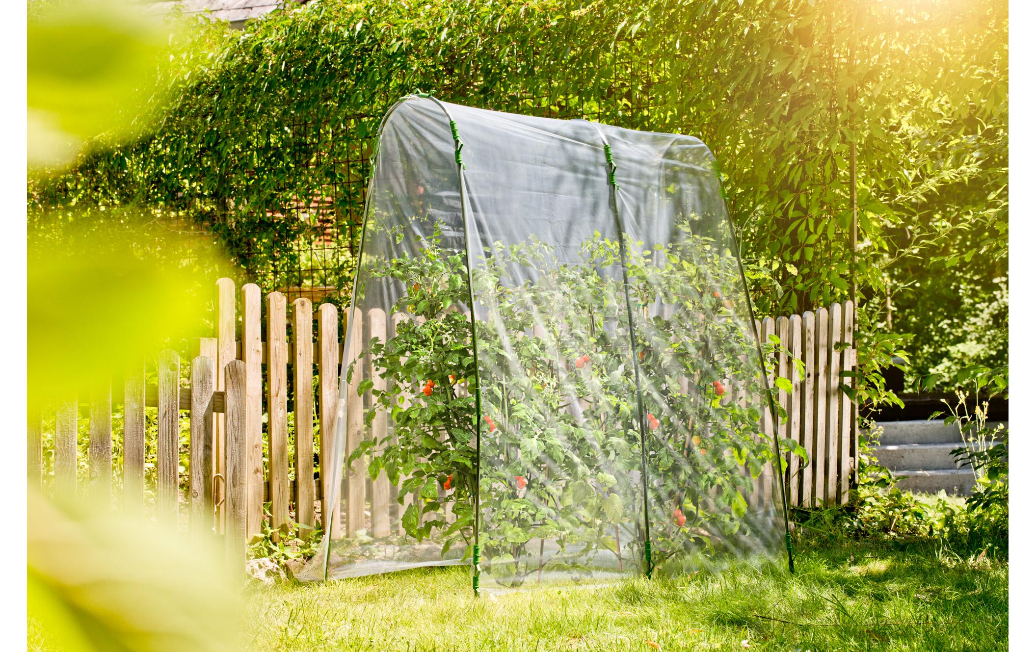 Windhager Tunnelbogen Tomaten Windhager Tunnelbogen Tomaten