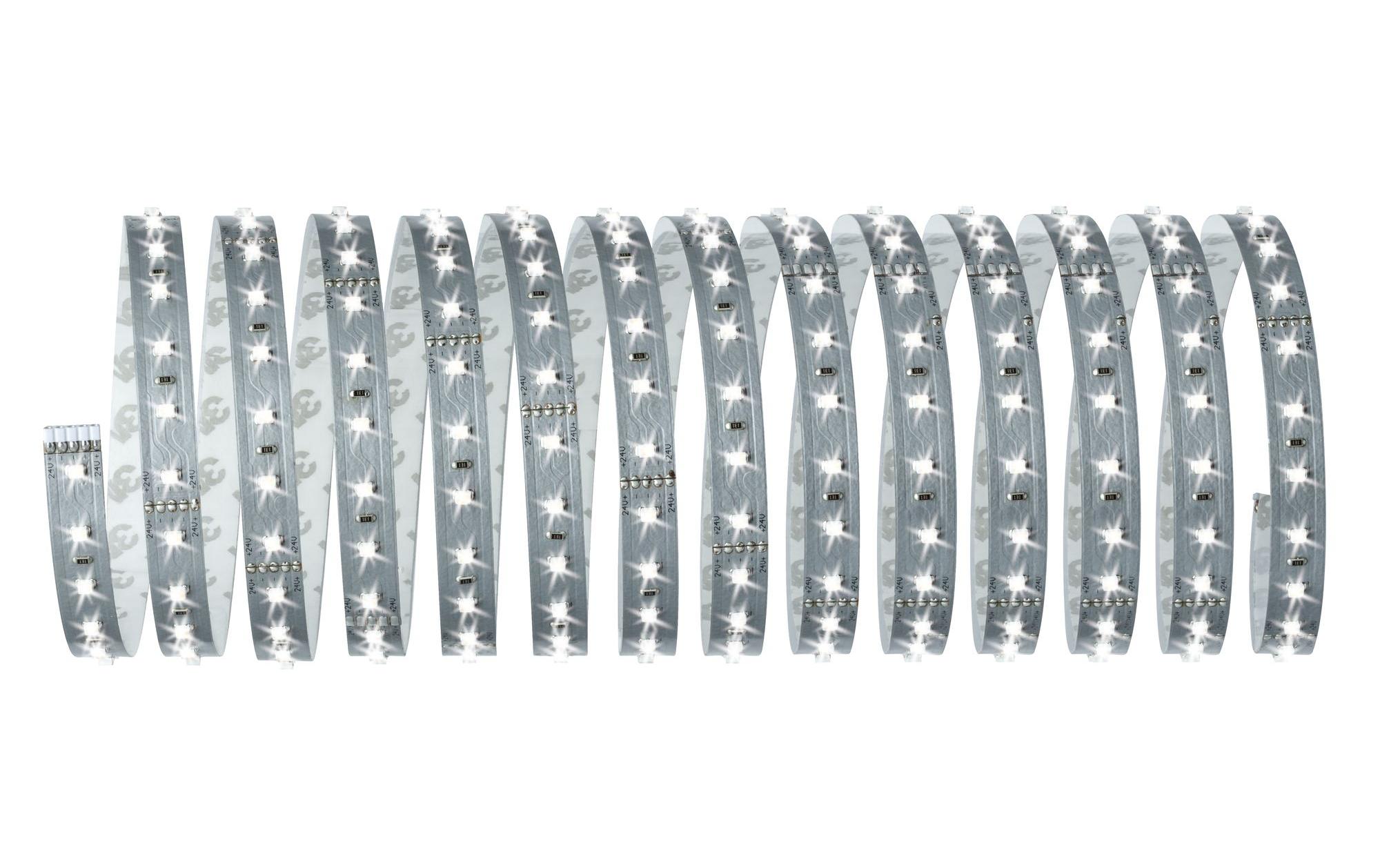 Paulmann LED-Stripe MaxLED 500 6500 K, 5 m Basisset