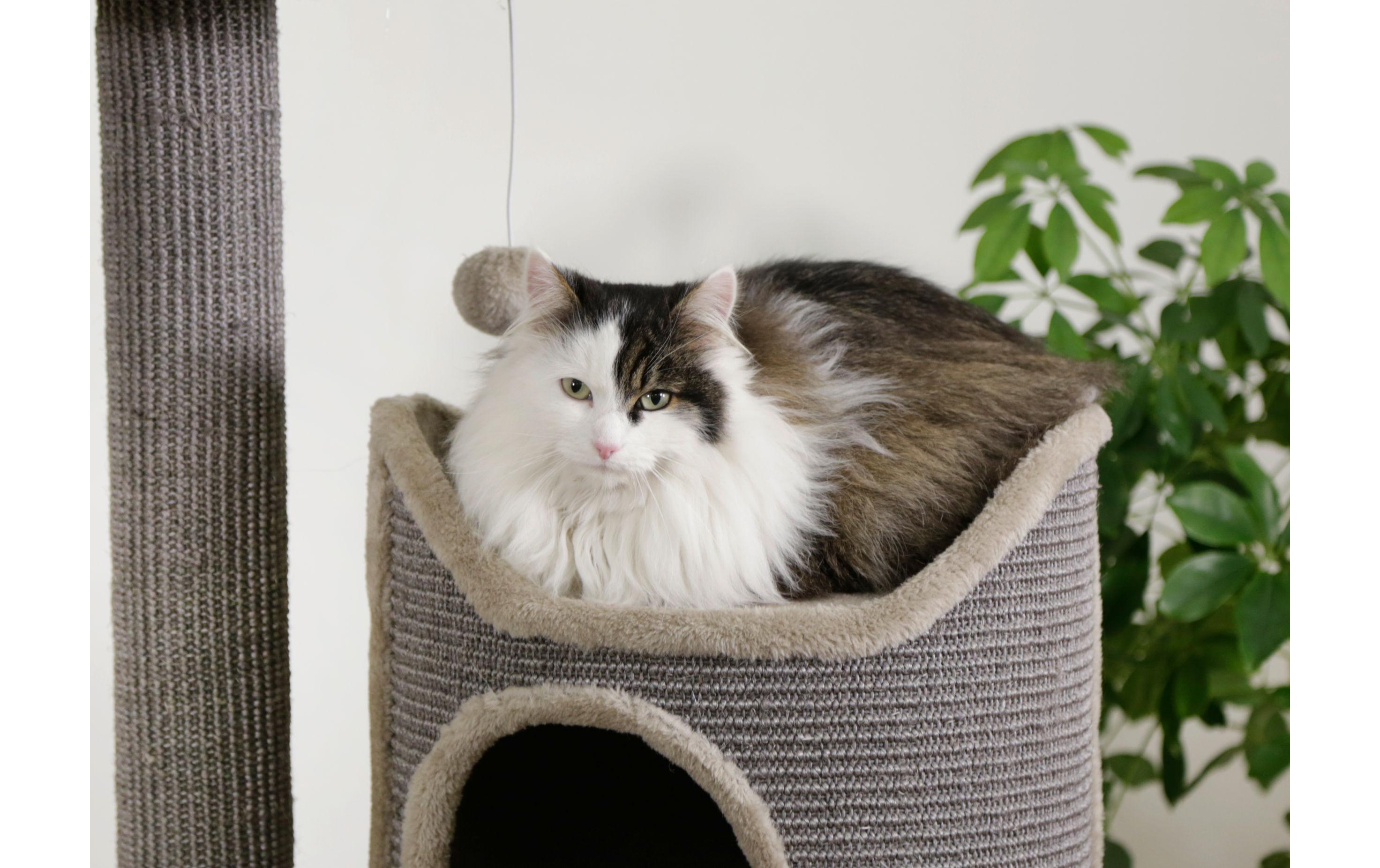 Kerbl Kratzbaum Tiana 70 cm x 56 cm x 130 cm