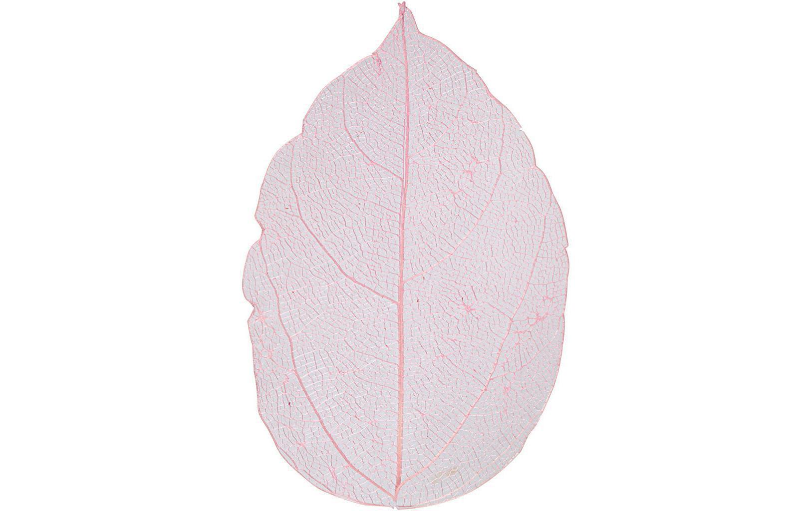 Creativ Company Papierdekoration Laubblätter, Rosa, 20 Stück Creativ Company Papierdekoration Laubblätter, Rosa, 20 Stück