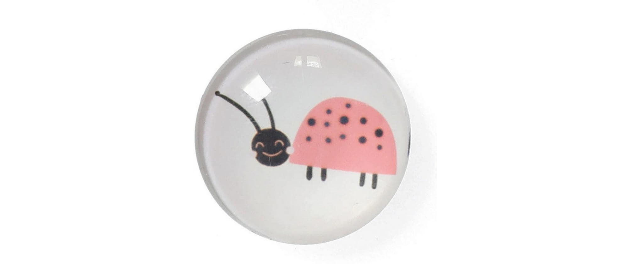 Zeller Present Magnete Insekten 4 Stück