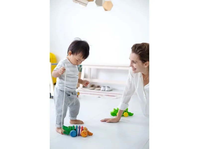 Plantoys Alligator Regenbogen Holz Mehrfarbig Plantoys Alligator Regenbogen Holz Mehrfarbig