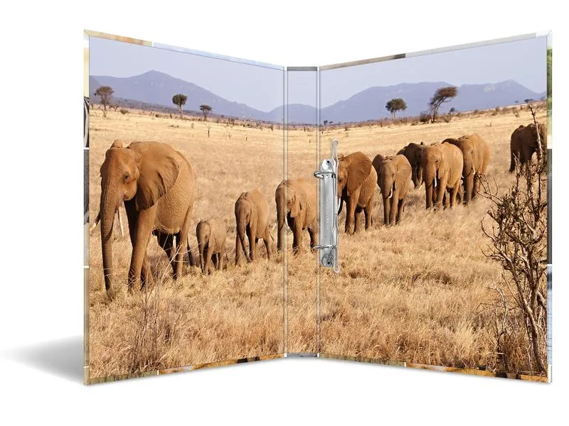 HERMA Ringbuch Afrika 2-Ring 3.5 cm, Mehrfarbig HERMA Ringbuch Afrika 2-Ring 3.5 cm, Mehrfarbig