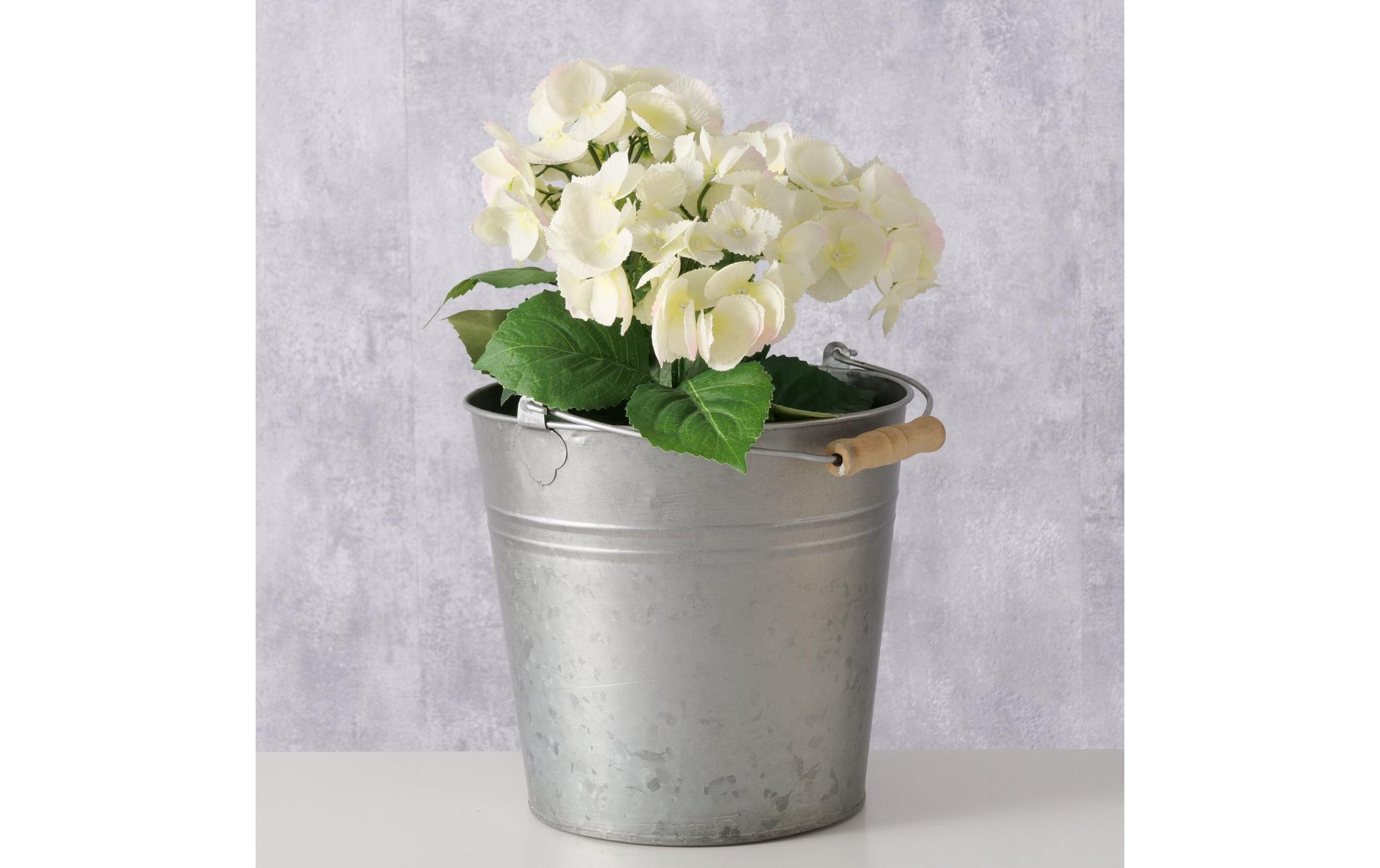 Boltze Eimer Matera Eisen