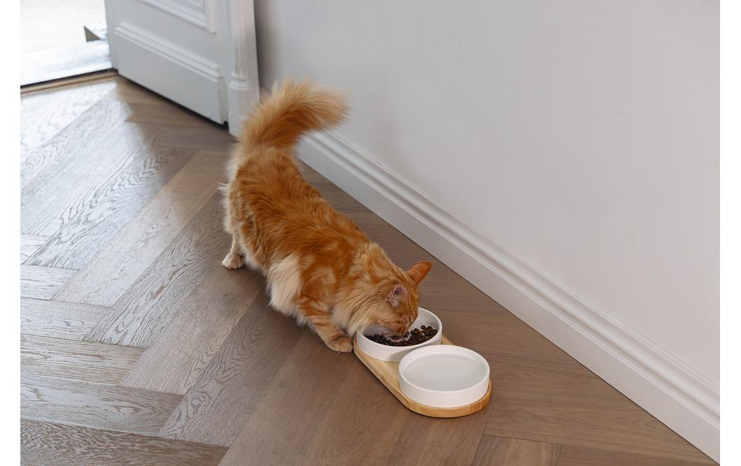 Designed by Lotte Kera Dinnerset Katze Lojs 34 × 17, 3 × 5.5 cm, weiss