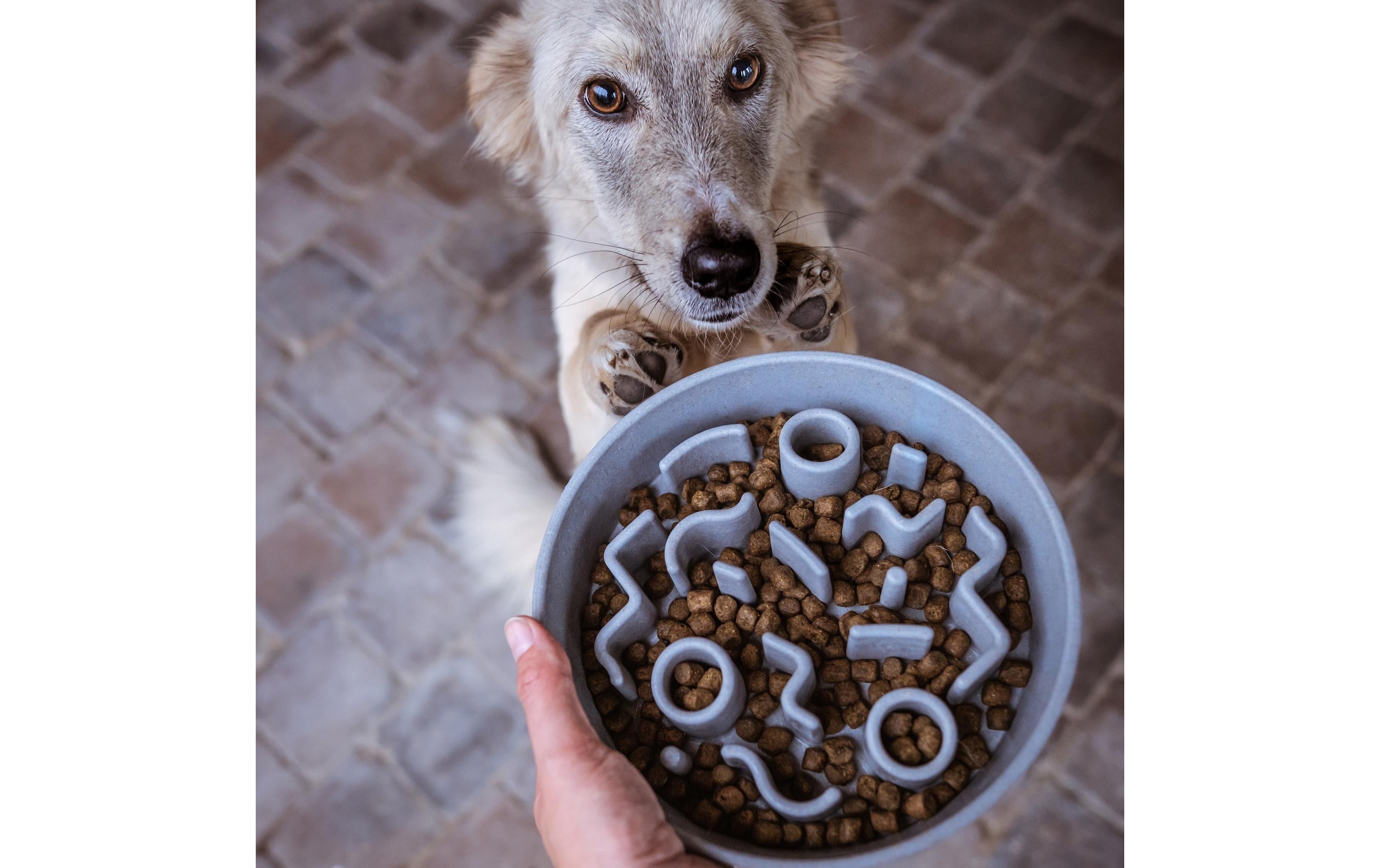 District 70 Bambusnapf Bamboo Dog Slow Feeder Ø 28 cm, Ice-Blue