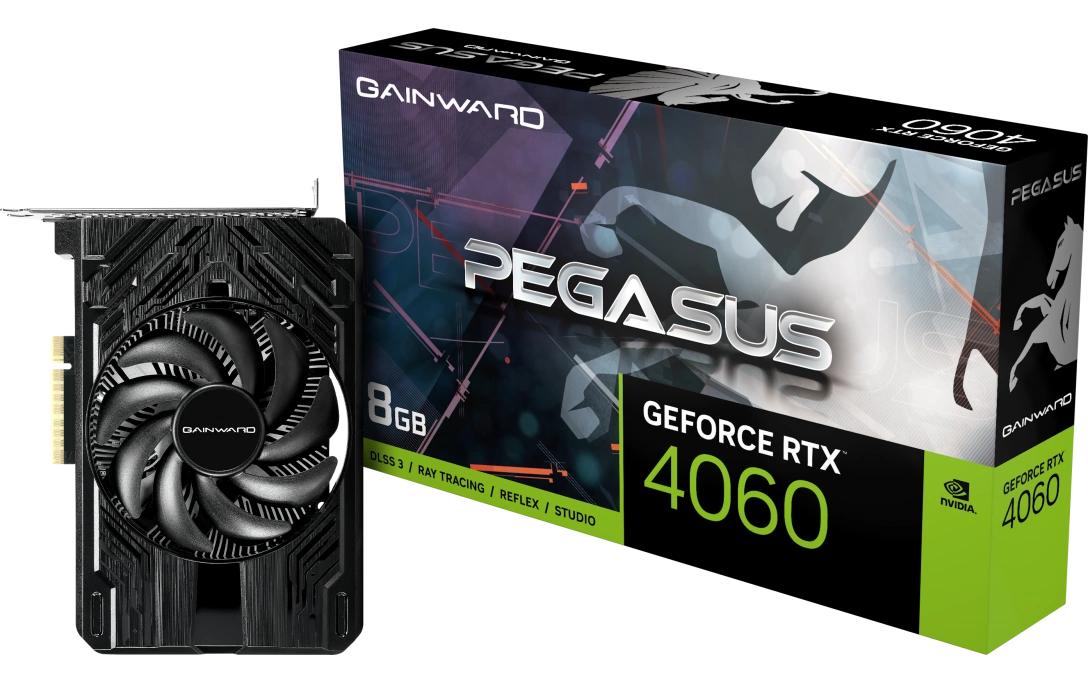 Gainward Grafikkarte GeForce RTX 4060 Pegasus 8 GB