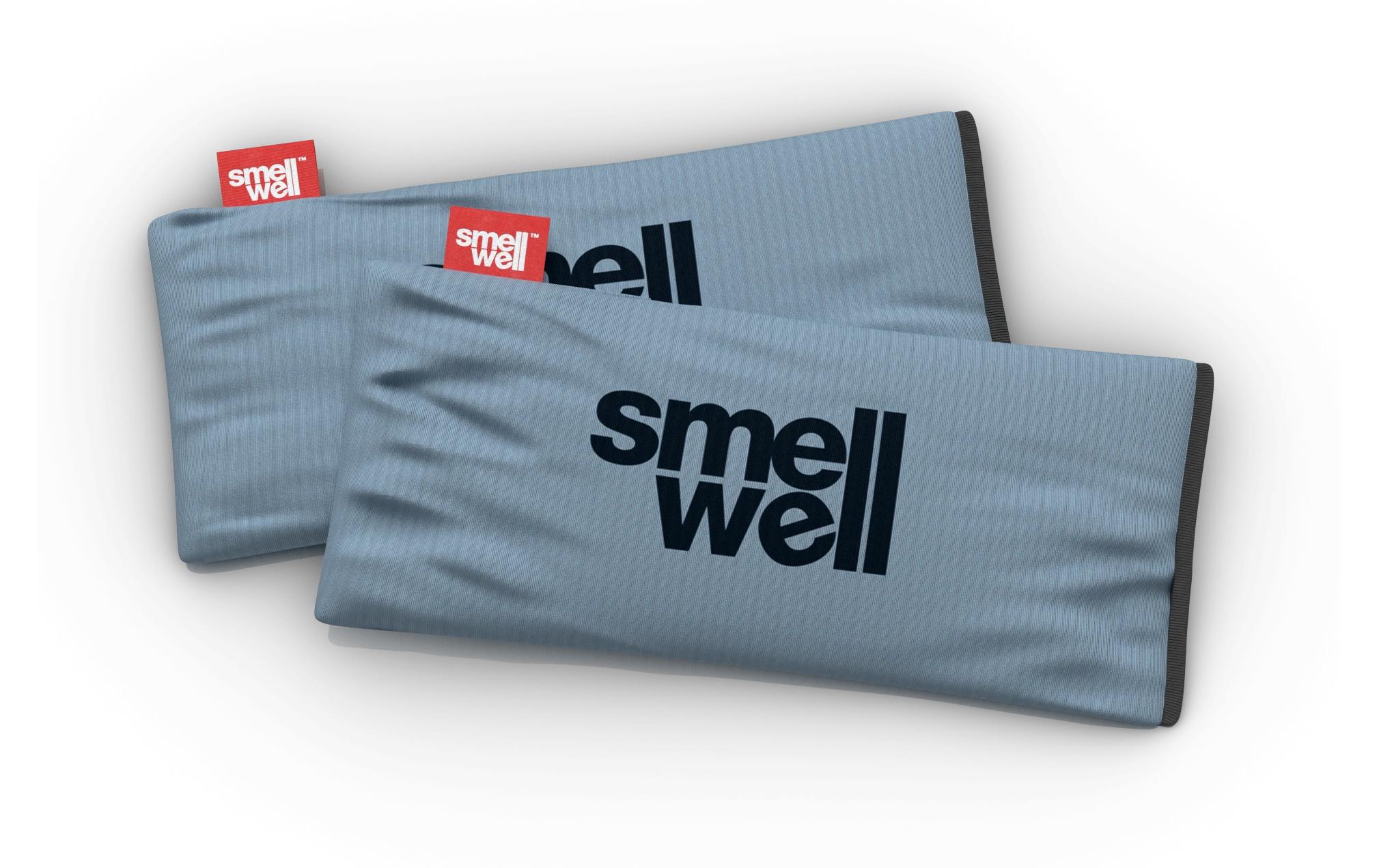 Smell Well Geruchsentferner Active XL SG Grau