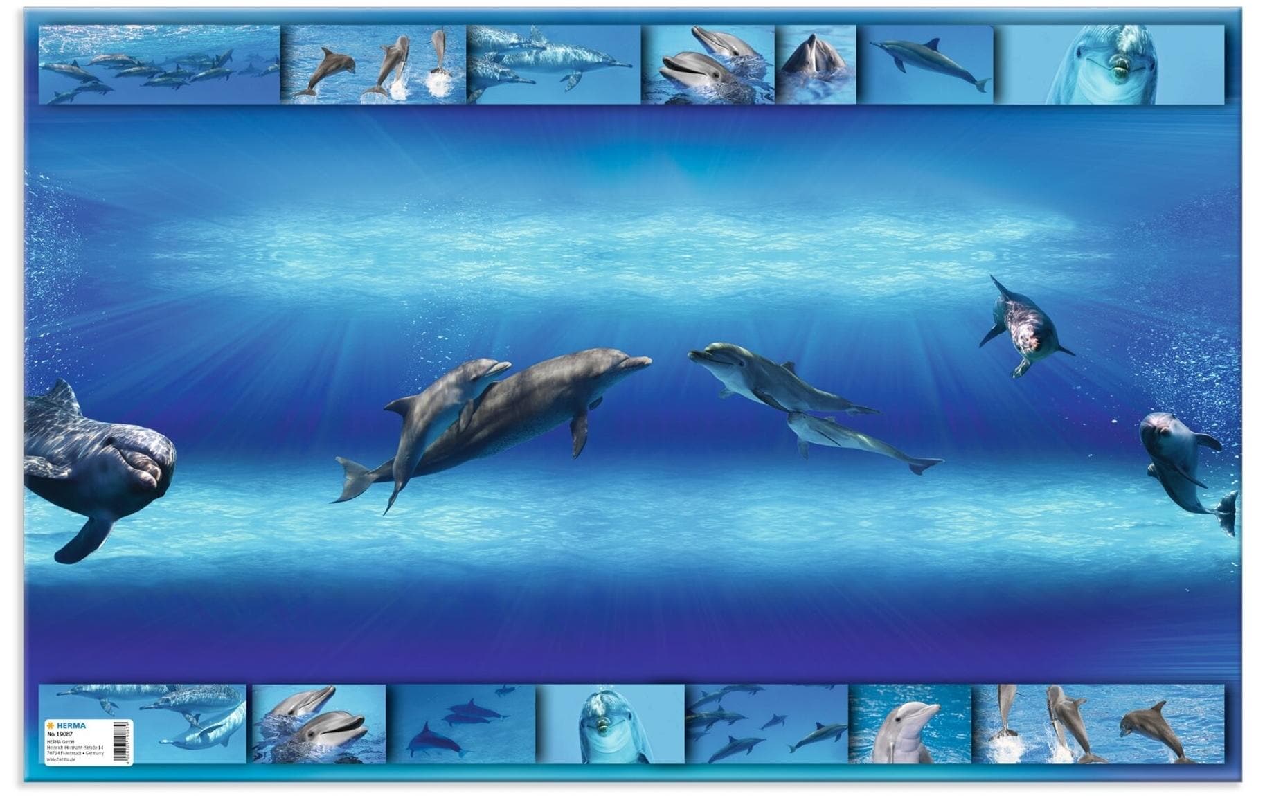 HERMA Schreibunterlage Delphin 55 x 35 cm