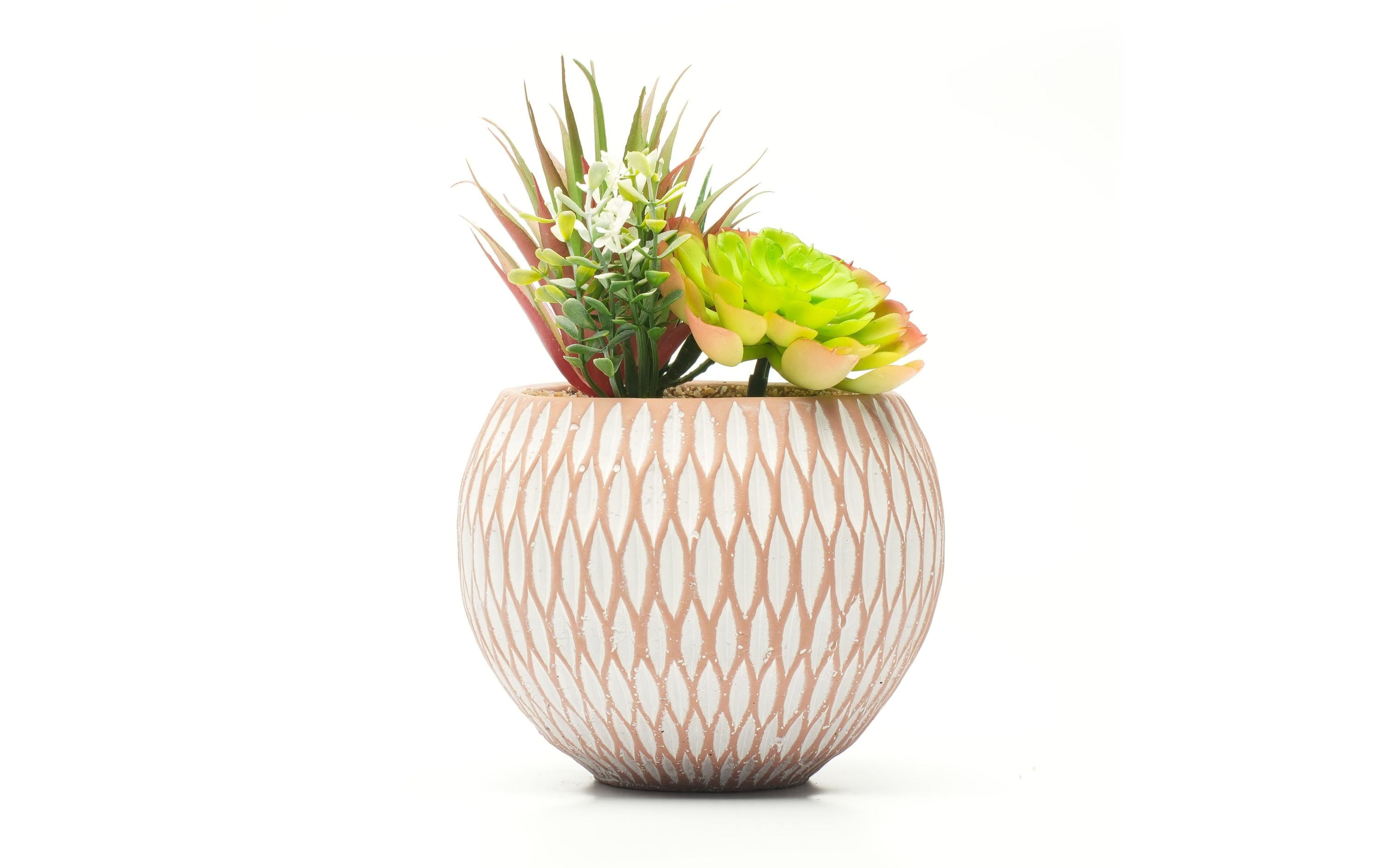 Dameco Kunstpflanze Sukkulenten 22 cm, mit Topf