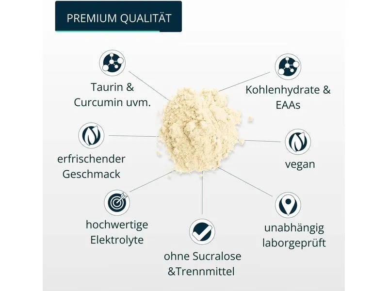Brandl-Nutrition Ausdauer-Drink Isotonisches Getränk Zitrone, 600 g