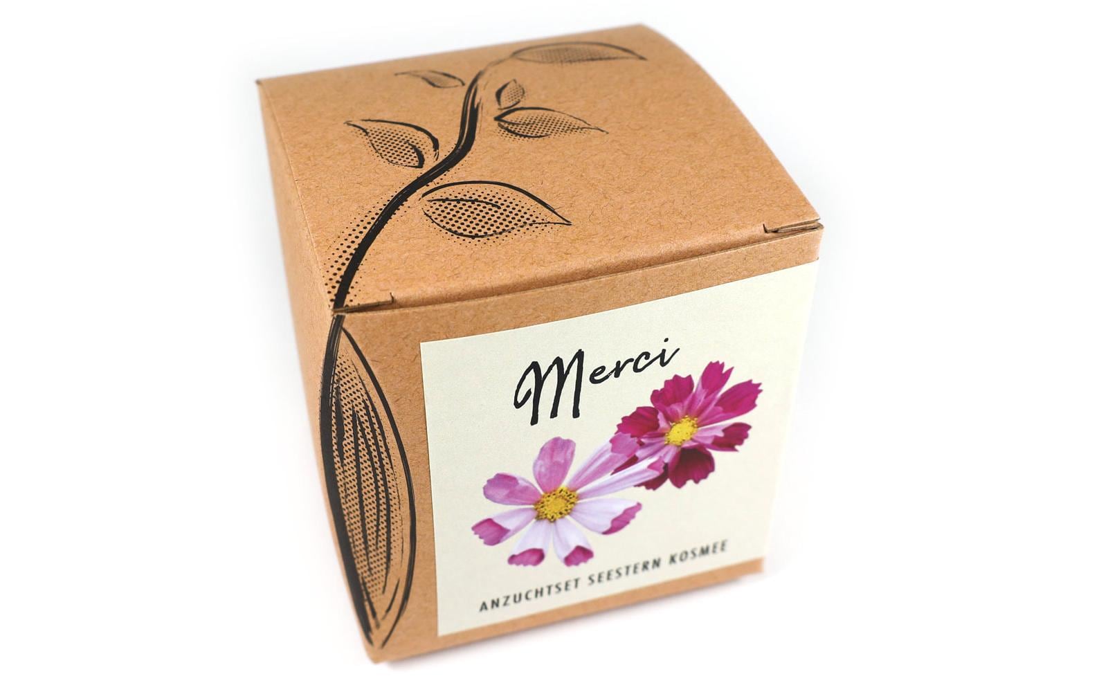 Naturkraftwerk Anzuchtset Merci mit Seestern Kosmee