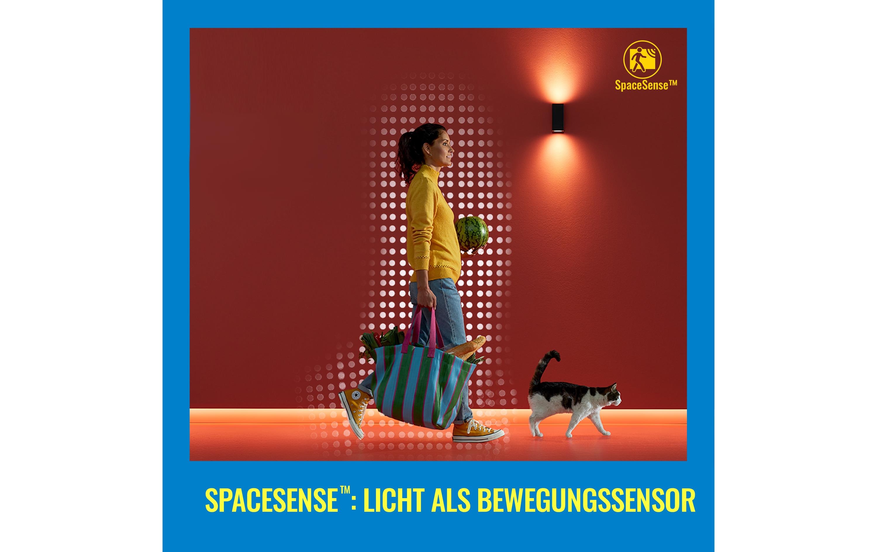 WiZ Panel Tunable White Deckenleuchte Weiss 3400 lm WiZ Panel Tunable White Deckenleuchte Weiss 3400 lm