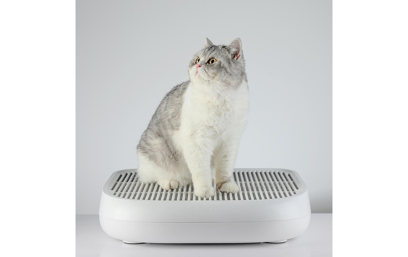 PETKIT Katzenstreu-Auffangbehälter