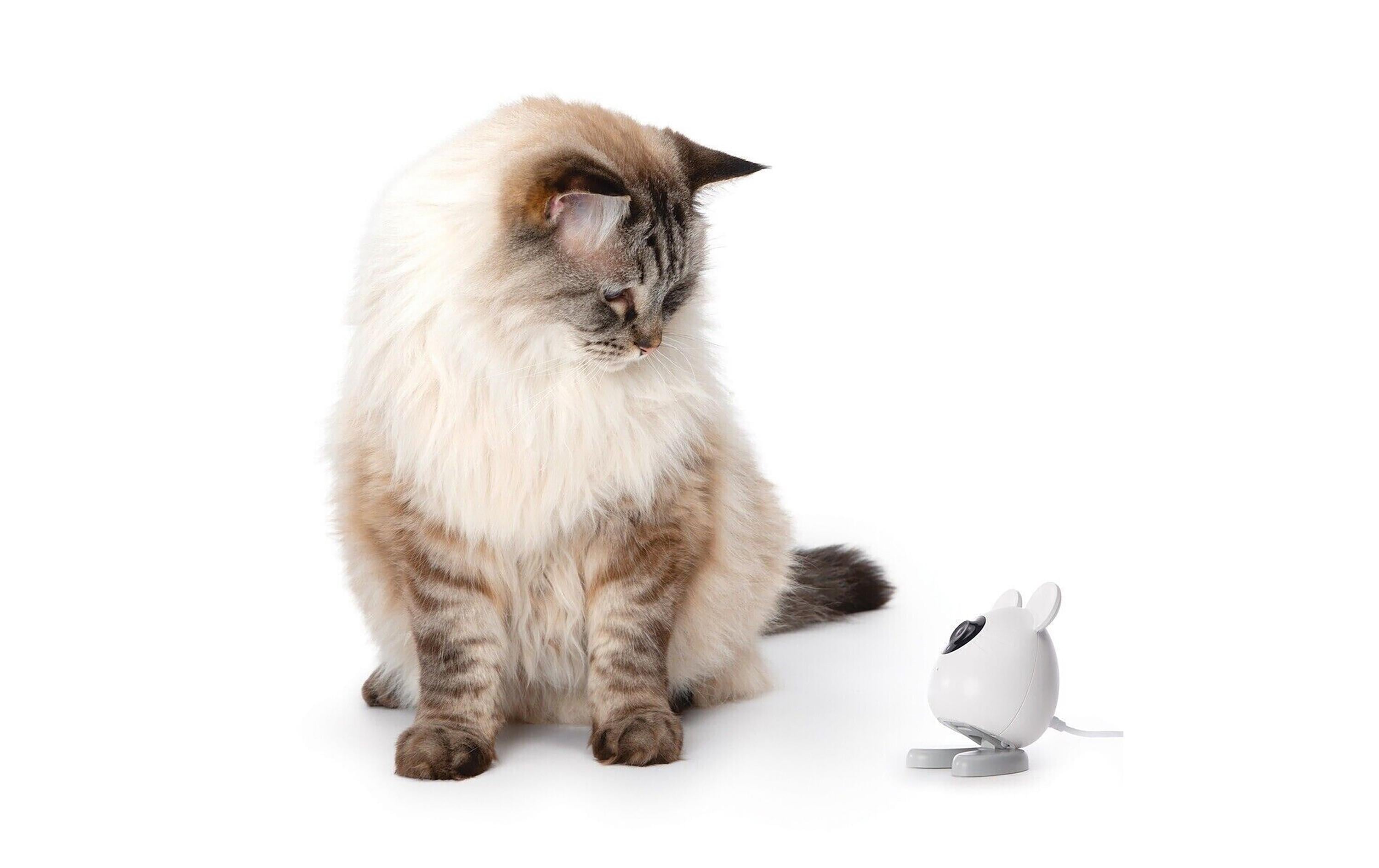 Catit Haustierkamera Pixi Smart Mouse Weiss Catit Haustierkamera Pixi Smart Mouse Weiss