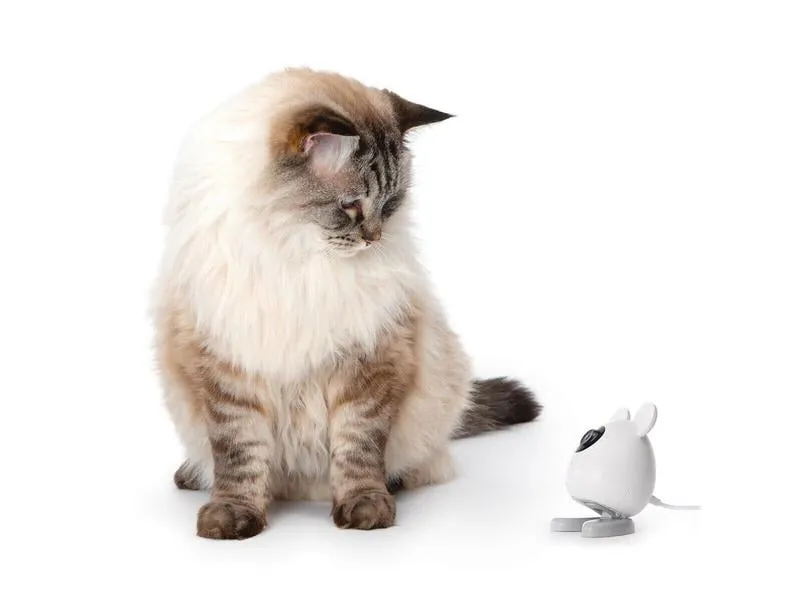 Catit Haustierkamera Pixi Smart Mouse Weiss
