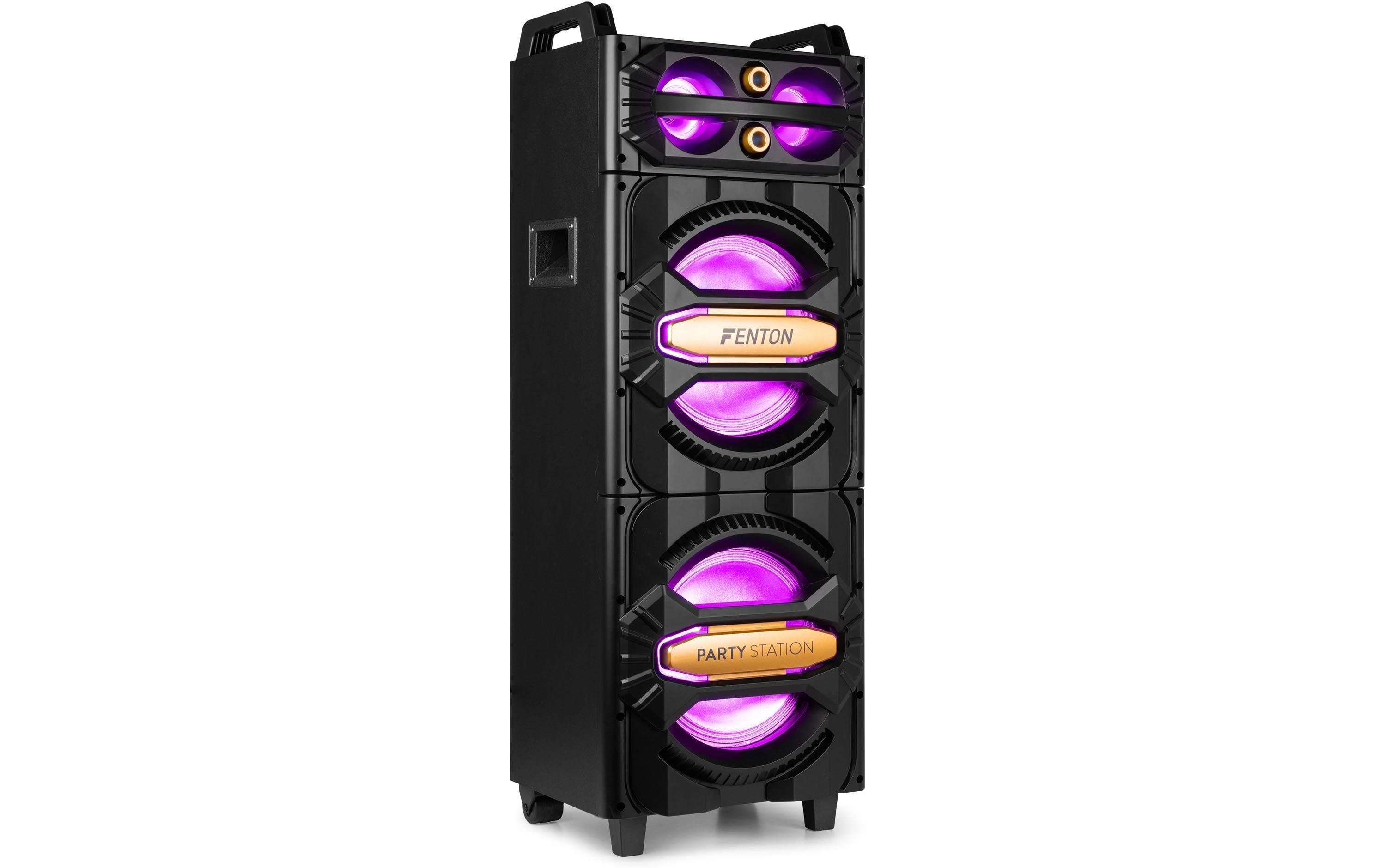 Fenton Lautsprecher LIVE2102