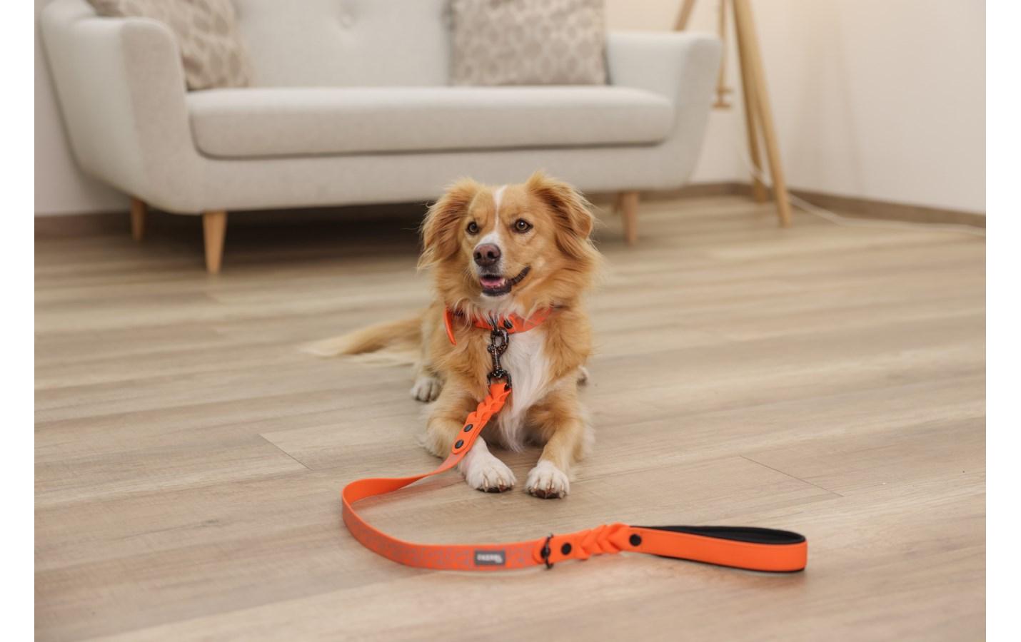 Kerbl Hundeleine Puno 25 mm x 100 cm