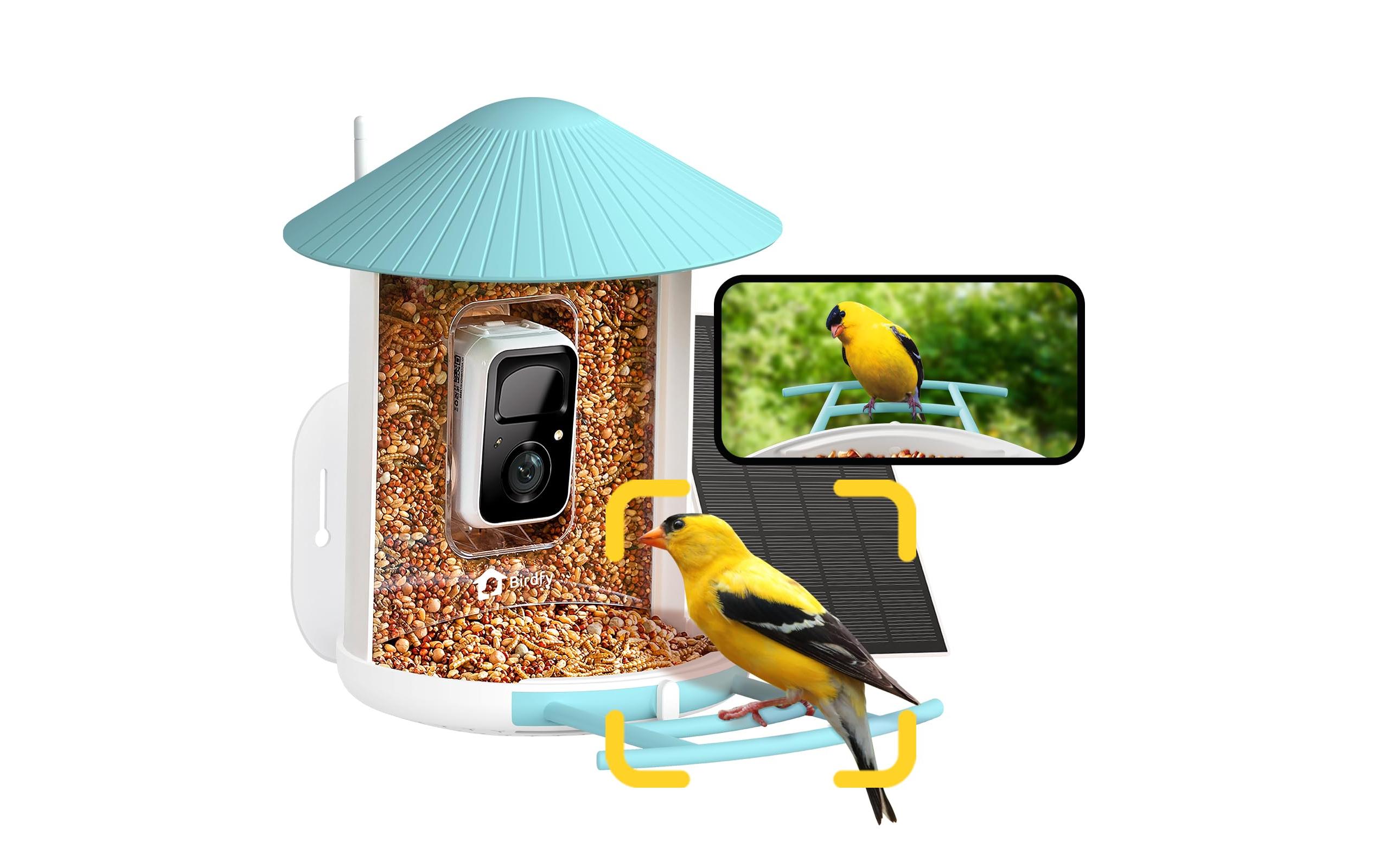 Birdfy Futterspender Basic Solar