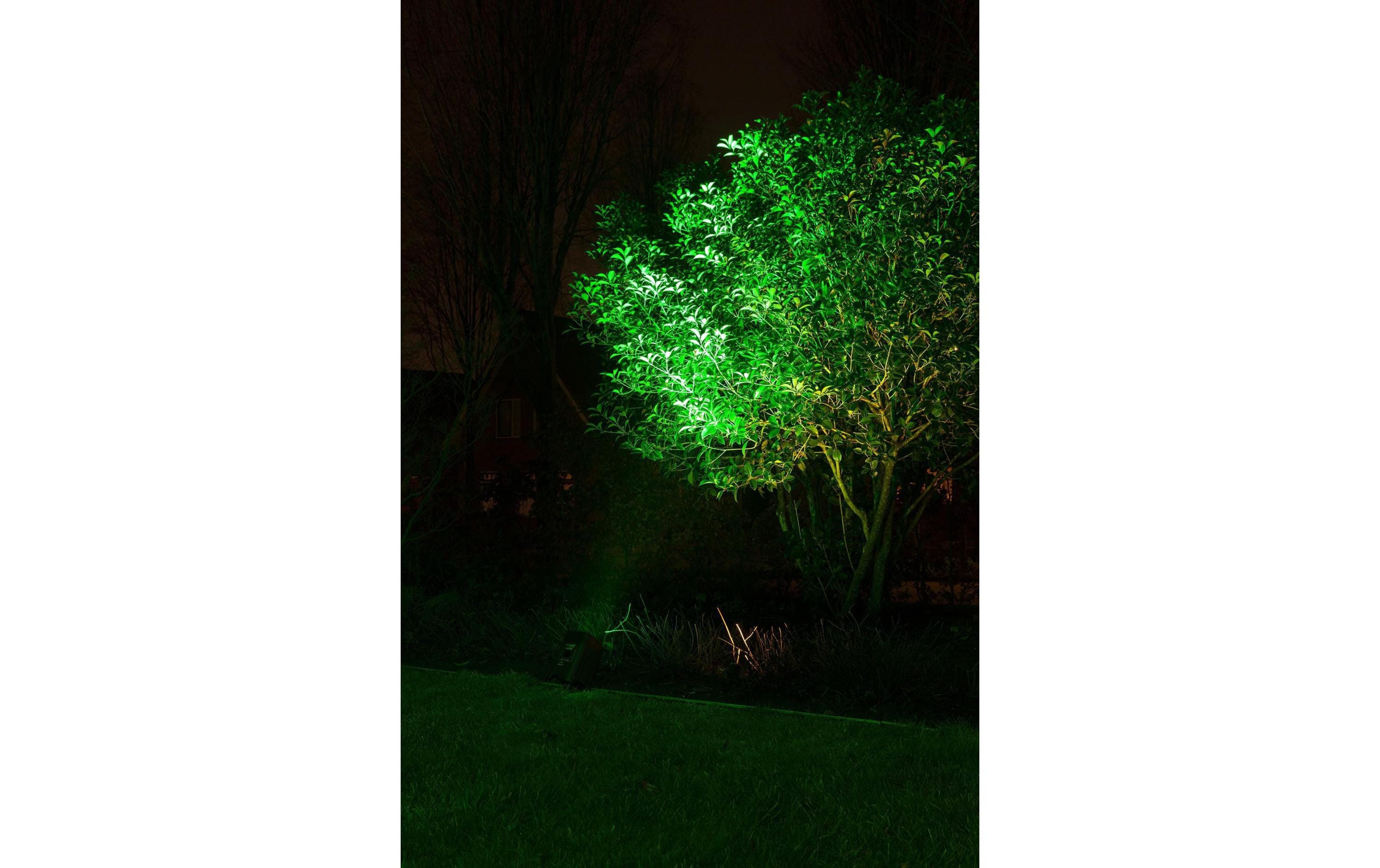 BeamZ Bodenstrahler BBP96 Uplight Par