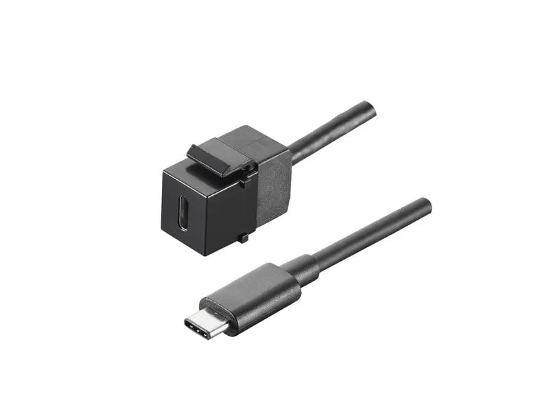 Bachmann Keystone-Modul USB 3.1 Typ C