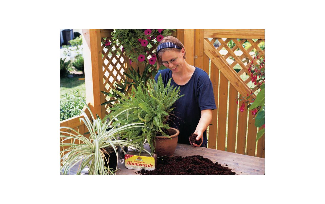 Neudorff Kokohum Blumenerde, Brikett, 600 g