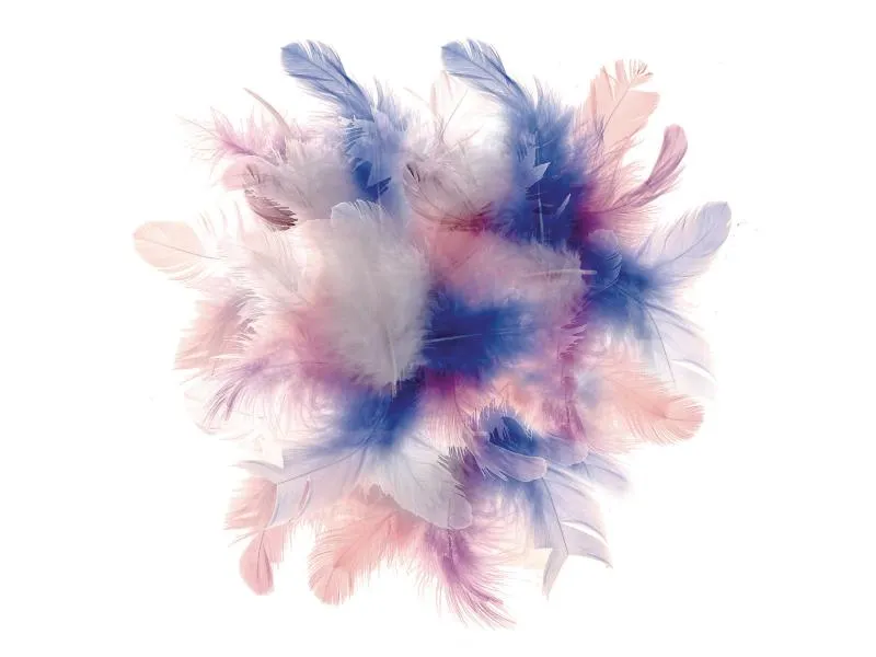Glorex Federn Deco Blau/Pink/Weiss