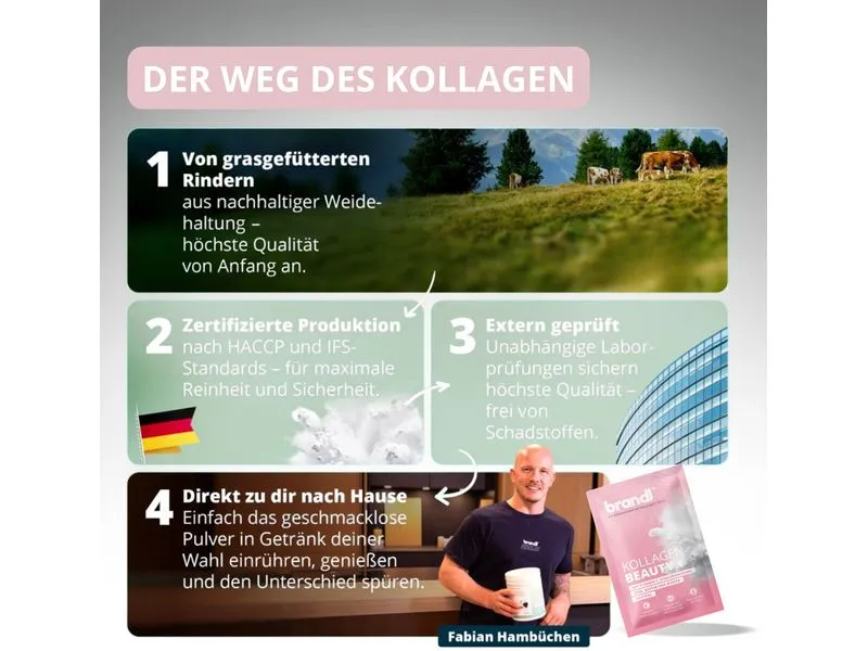 Brandl-Nutrition Kollagen Beauty + Sachet 375g Brandl-Nutrition Kollagen Beauty + Sachet 375g