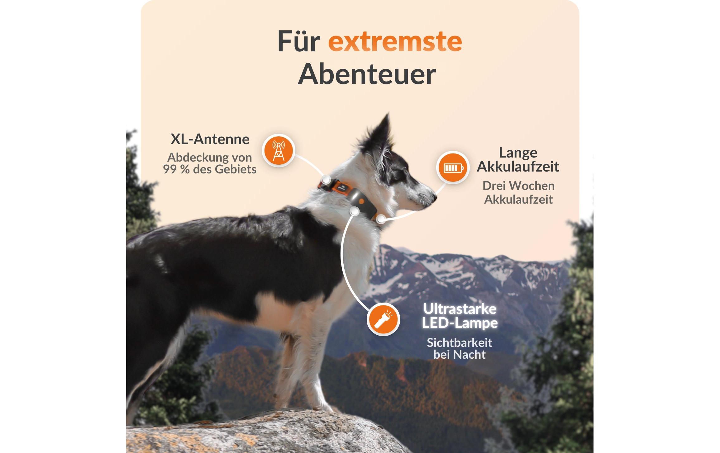 Weenect GPS-Tracker für Hunde XT ohne Halsband