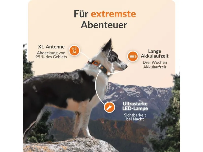 Weenect GPS-Tracker für Hunde XT ohne Halsband Weenect GPS-Tracker für Hunde XT ohne Halsband
