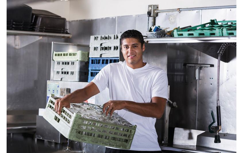 Diversey Pro Formula Maschinenspülmittel All in 1 Complete Professional 100 Stück