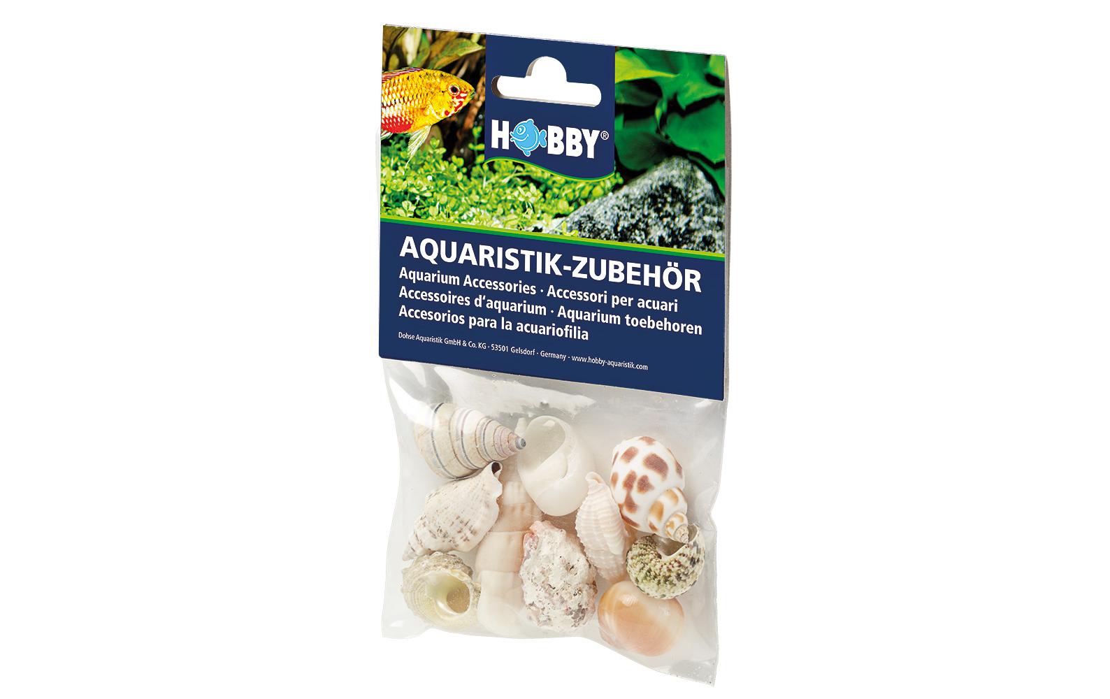 Hobby Aquaristik Dekoration Sea Shells Set, M, 10 Stück