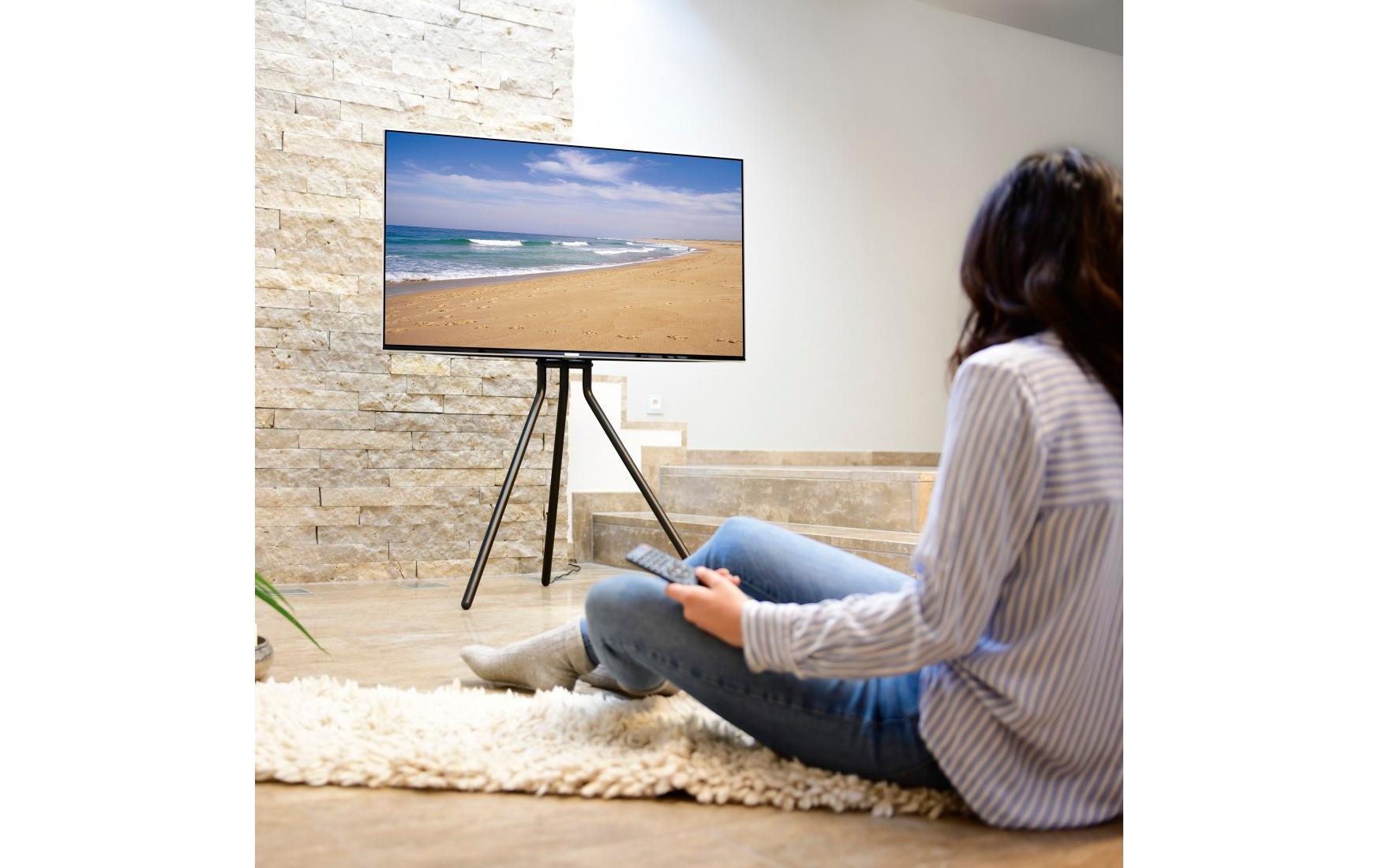 Hama Technics AG TV-Ständer (Staffelei) 75 Schwarz