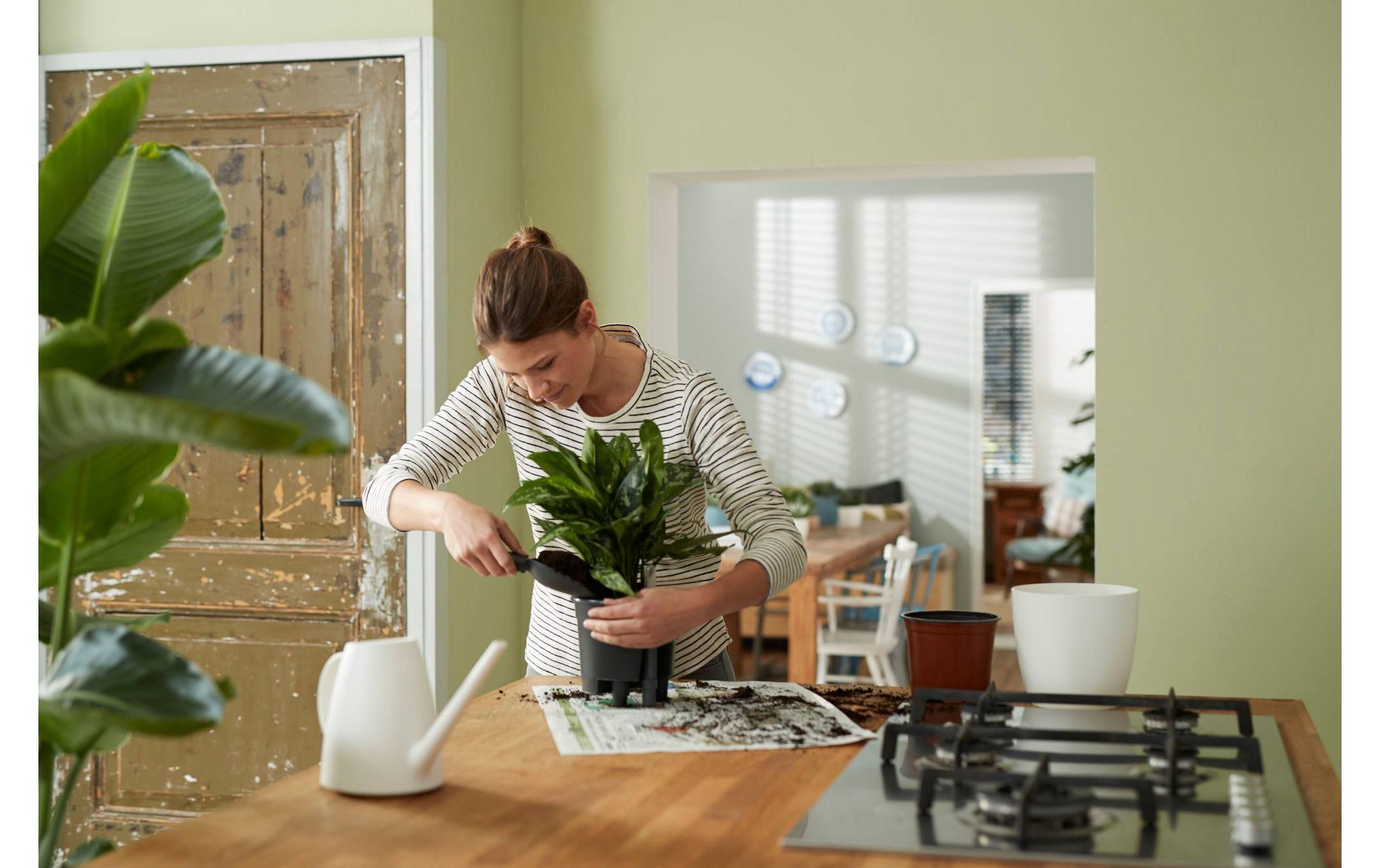 Elho Selbstbewässerungssystem 17 cm