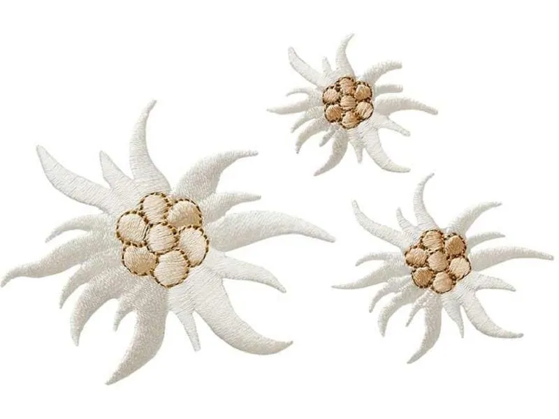 Mono-Quick Aufbügelbild Create Edelweiss 1 Stück Mono-Quick Aufbügelbild Create Edelweiss 1 Stück