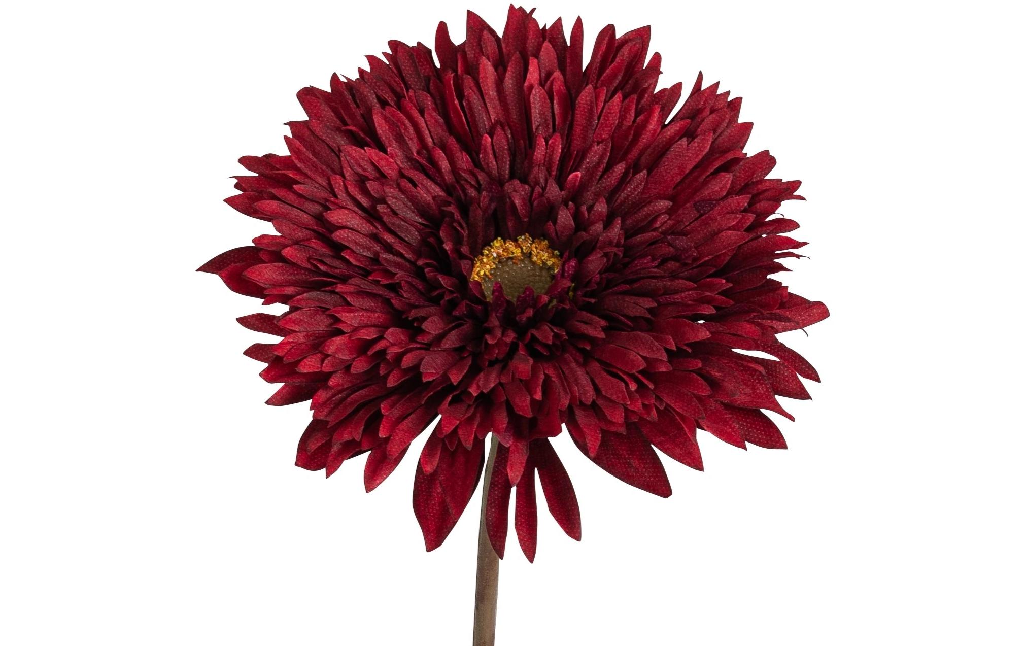 Botanic-Haus Kunstblume Gerbera, Burgund, 63 cm