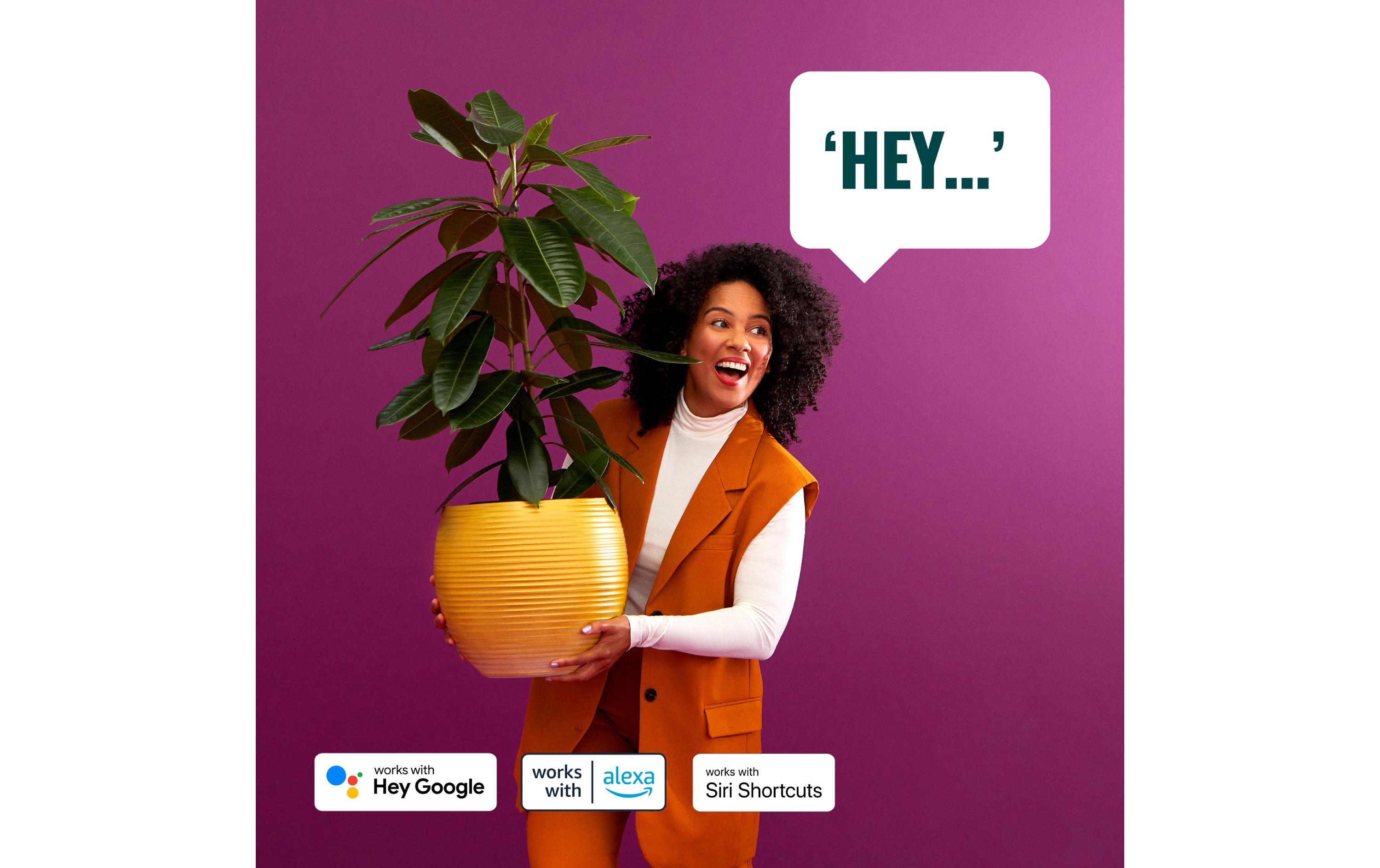 WiZ Smart Plug CH, Matter / WLAN