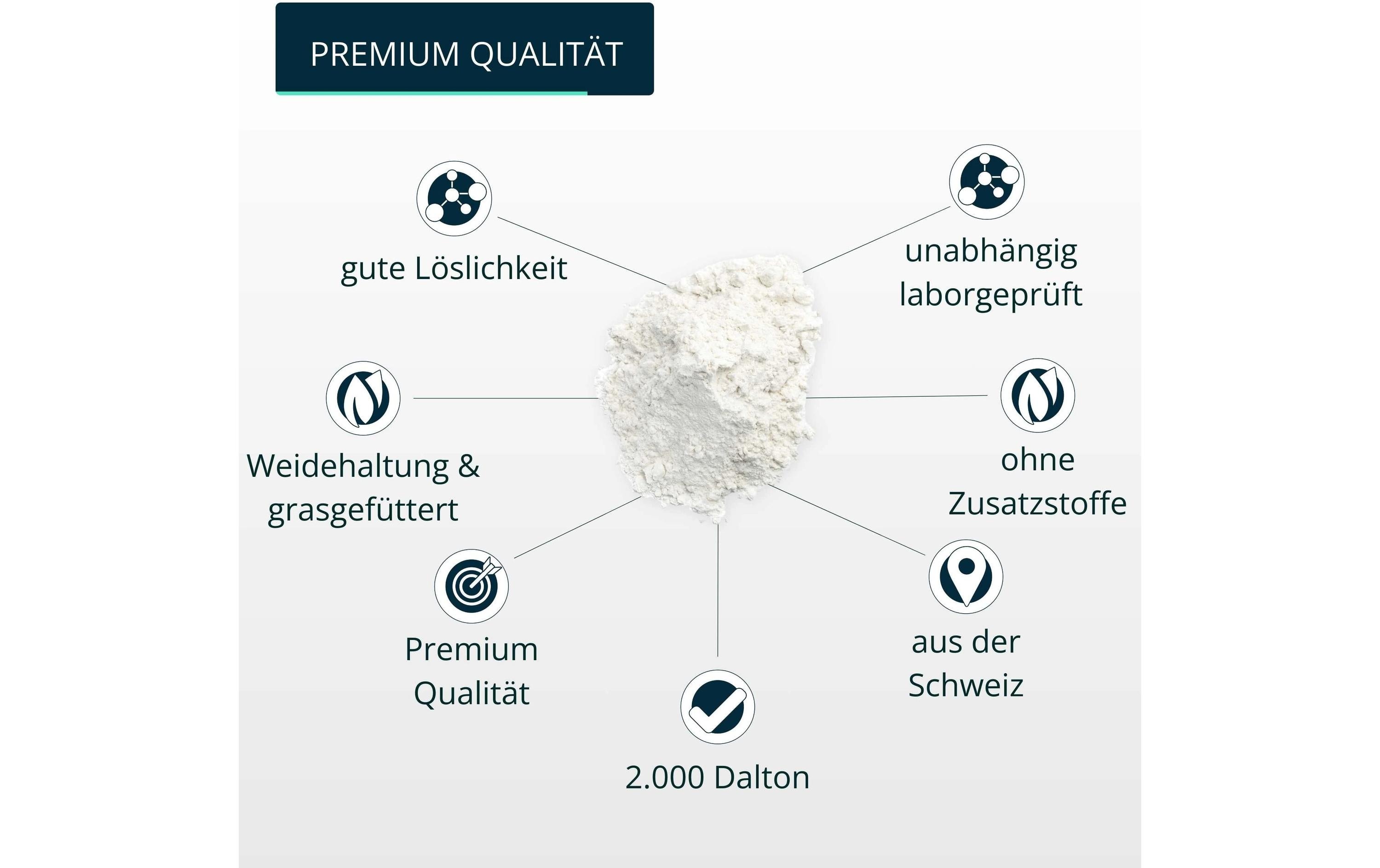 Brandl-Nutrition Pulver Kollagen Neutral 550 g